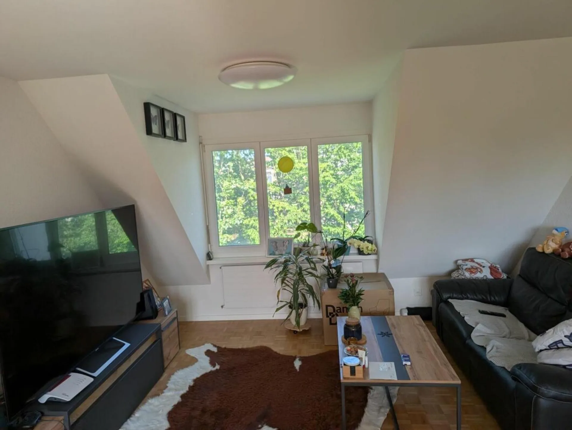 Schöne Wohnung im Zentrum von Rheinfelden