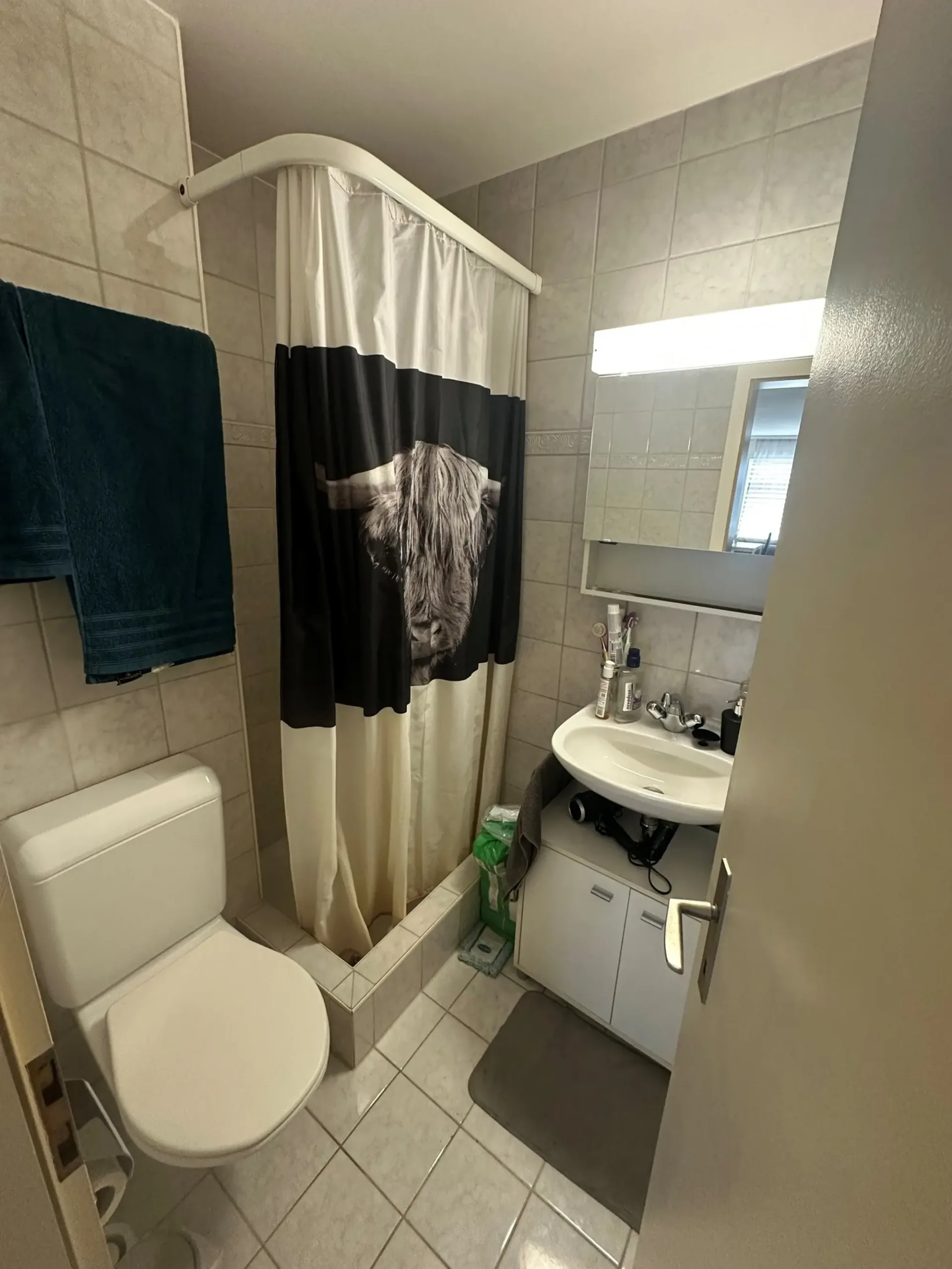 Charmantes 1-Zimmer-Apartment mit Terrasse in Biel
