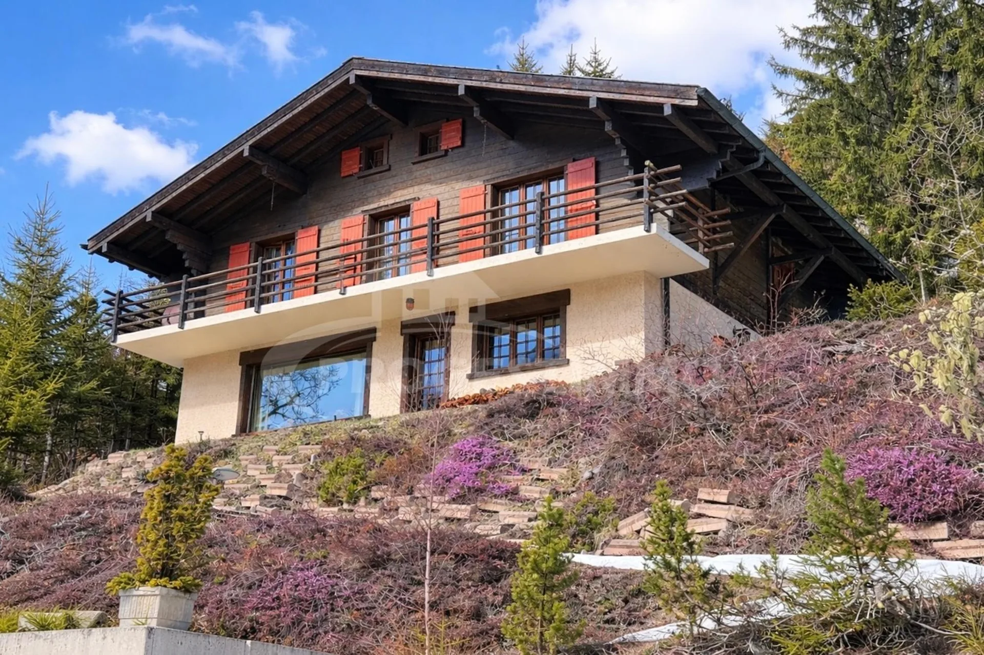CHALET ALPIN AVEC BELLE VUE SUR LES MONTAGNES