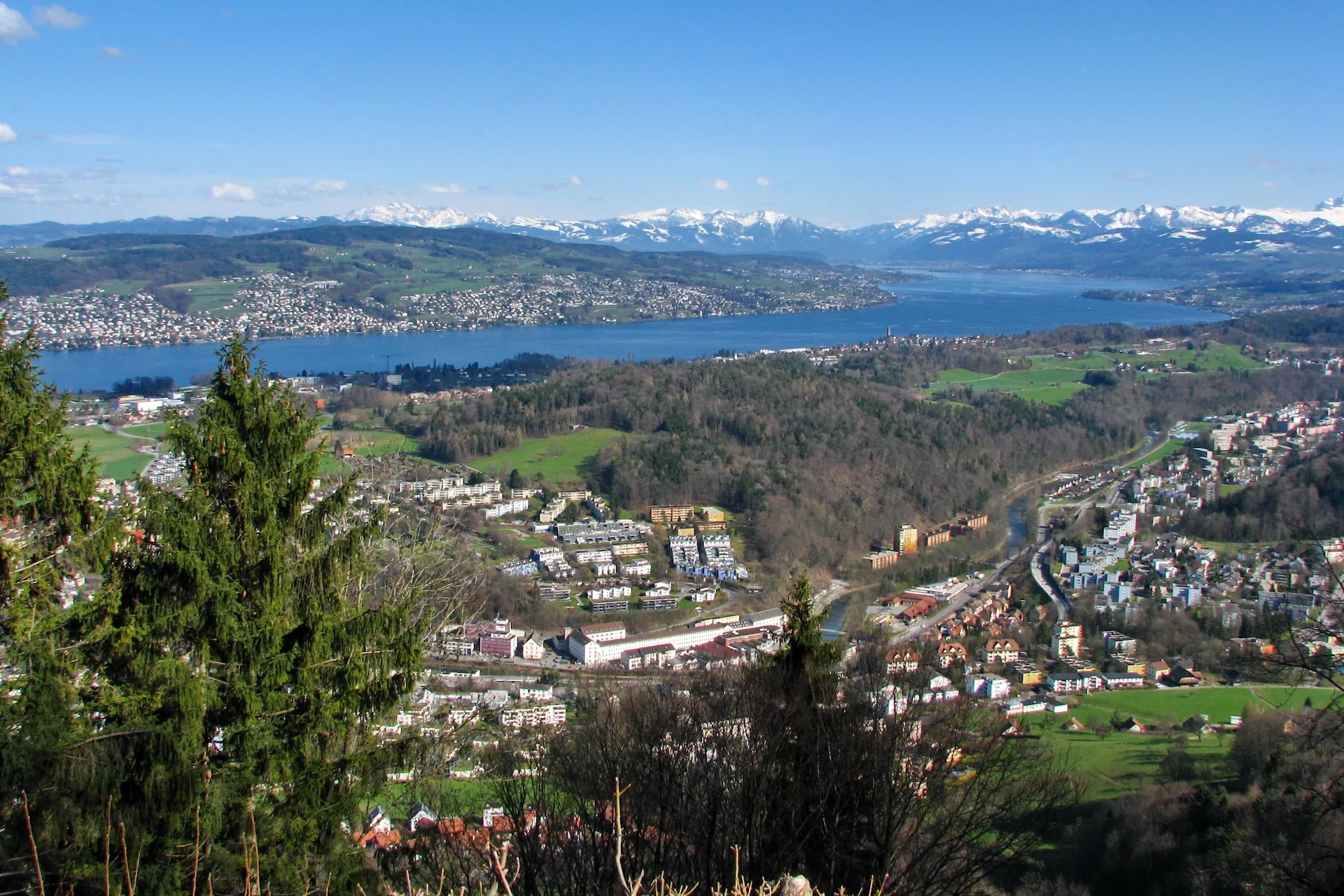 Langnau am Albis