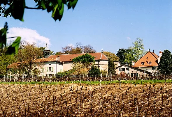 1242 Satigny