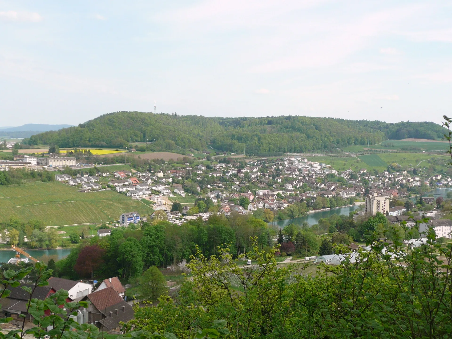 Flurlingen