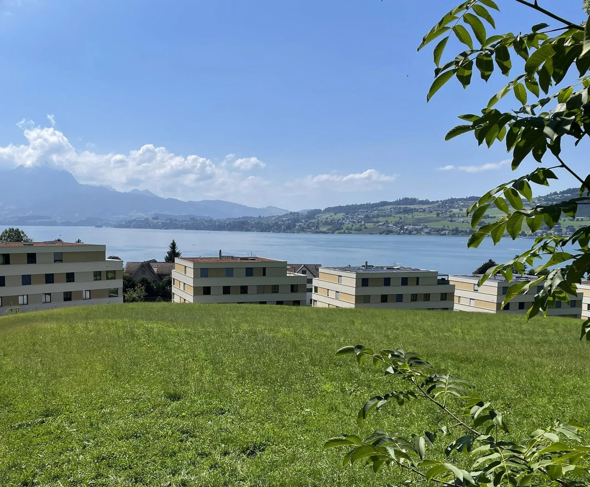 Exclusive 5.5-room single-family homes (DEFH) - Steinmatt am Rubibach