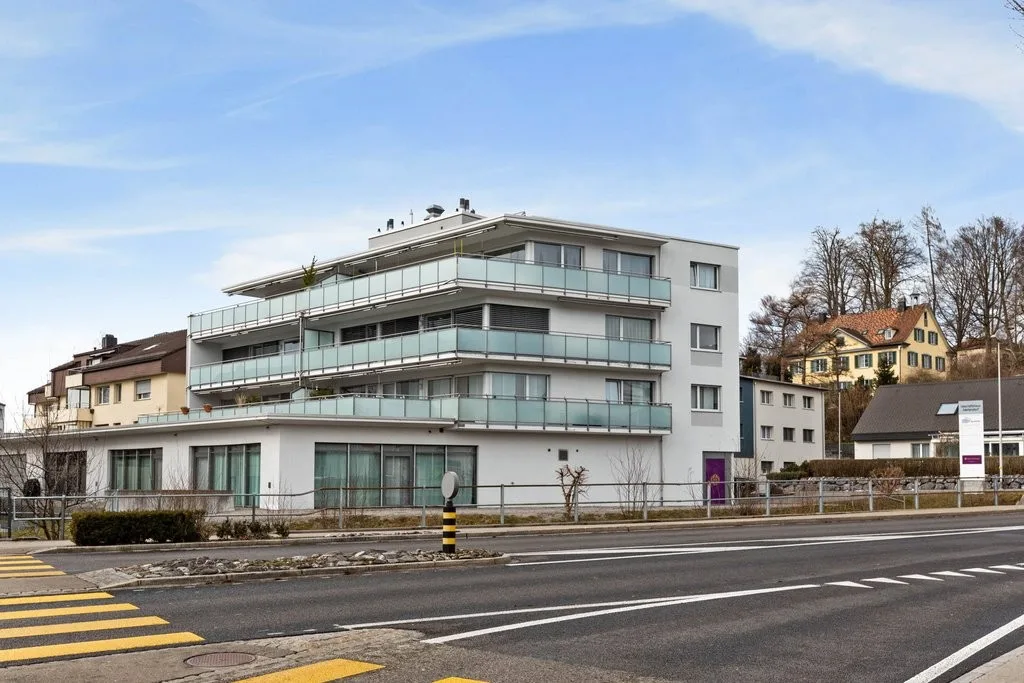 Dachwohnung mit grosser Terrasse
