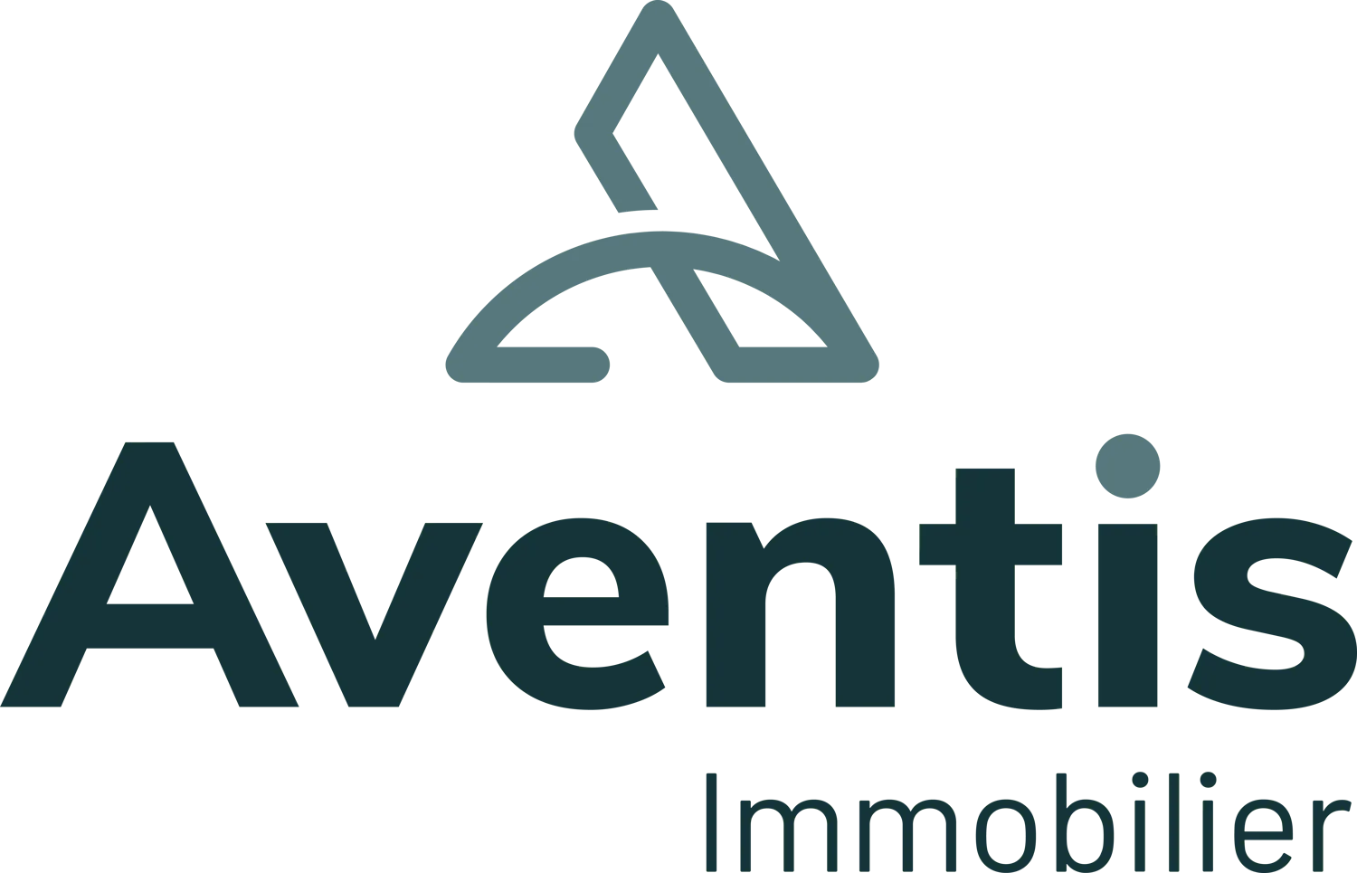 Aventis Immobilier SA