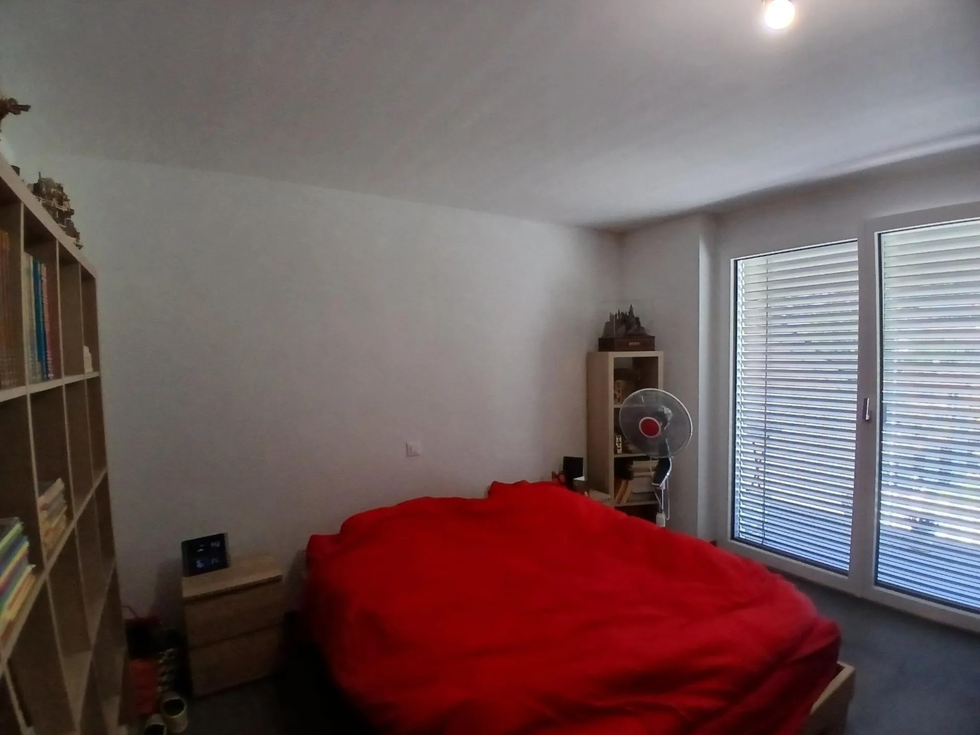 Image 12