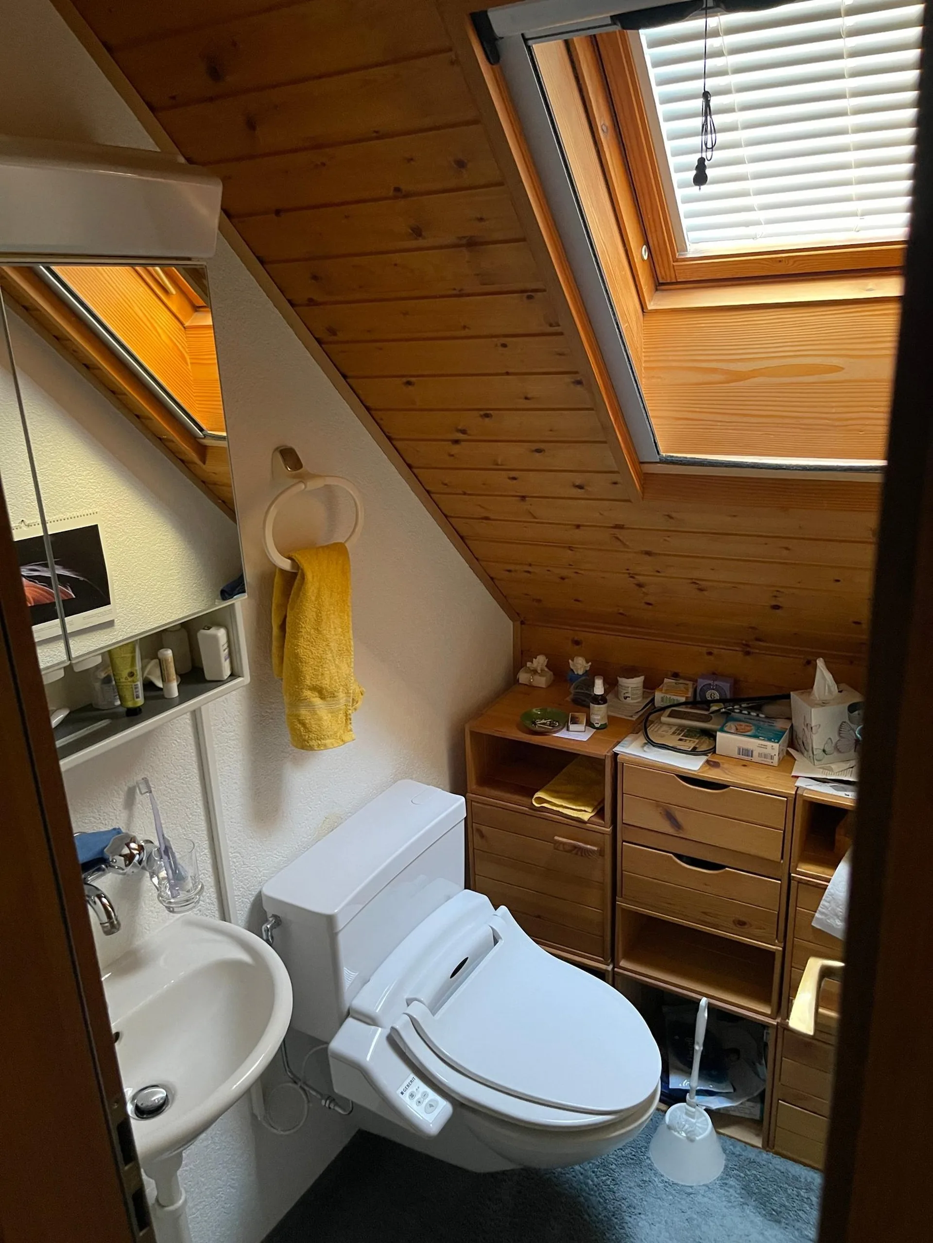 Image 12