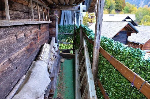 Image 14