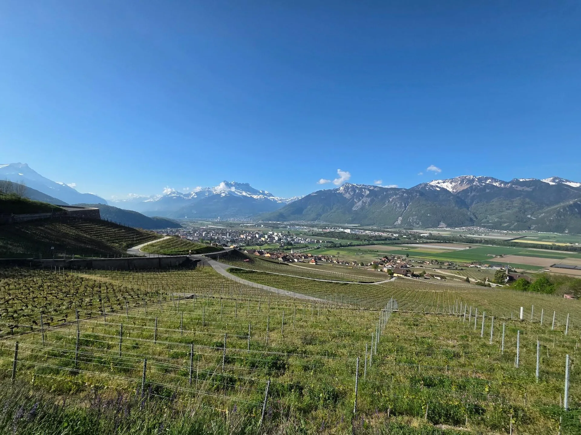 2 Maisons individuelles avec vue panoramique à Yvorne