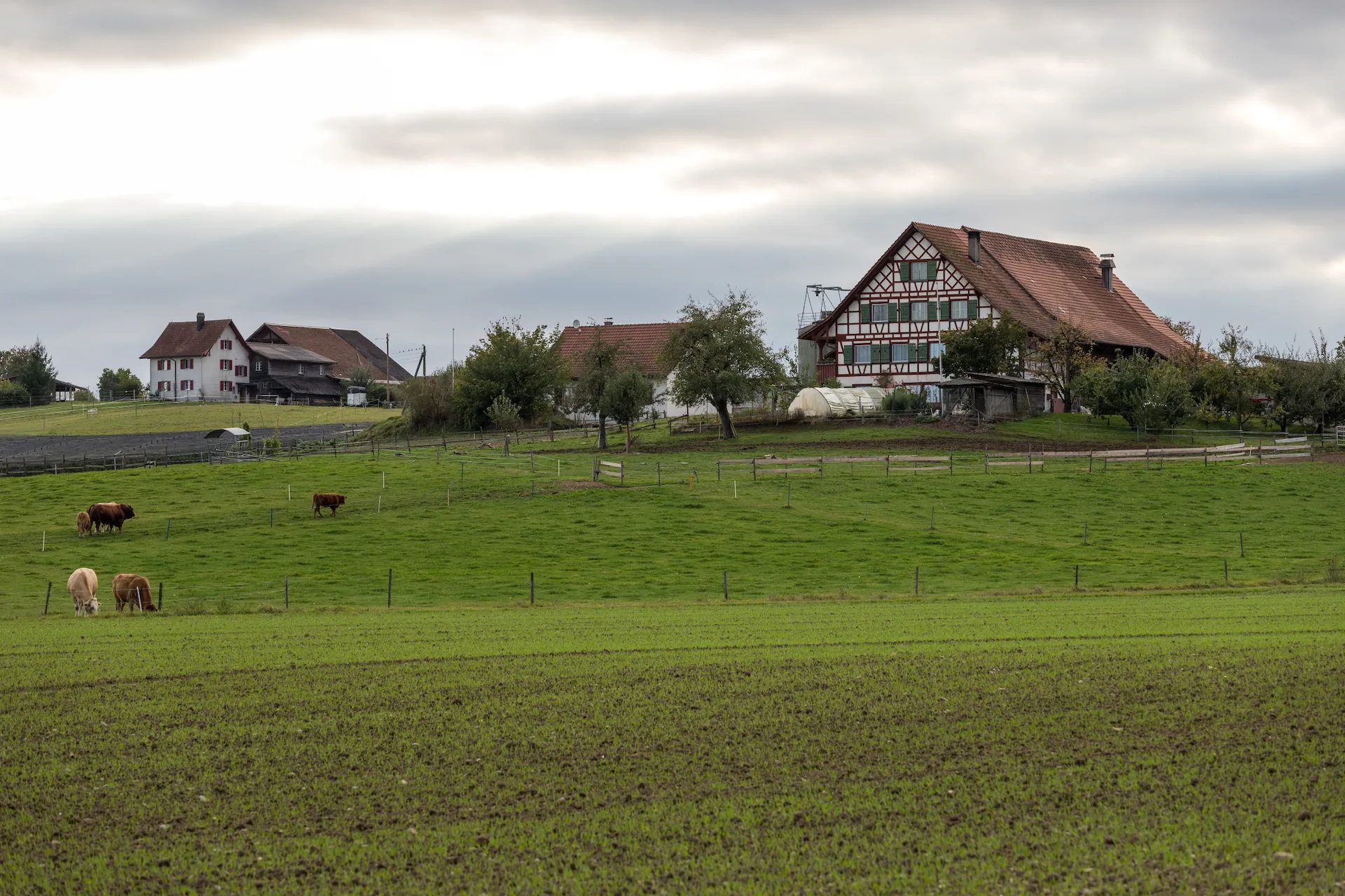 Stammheim