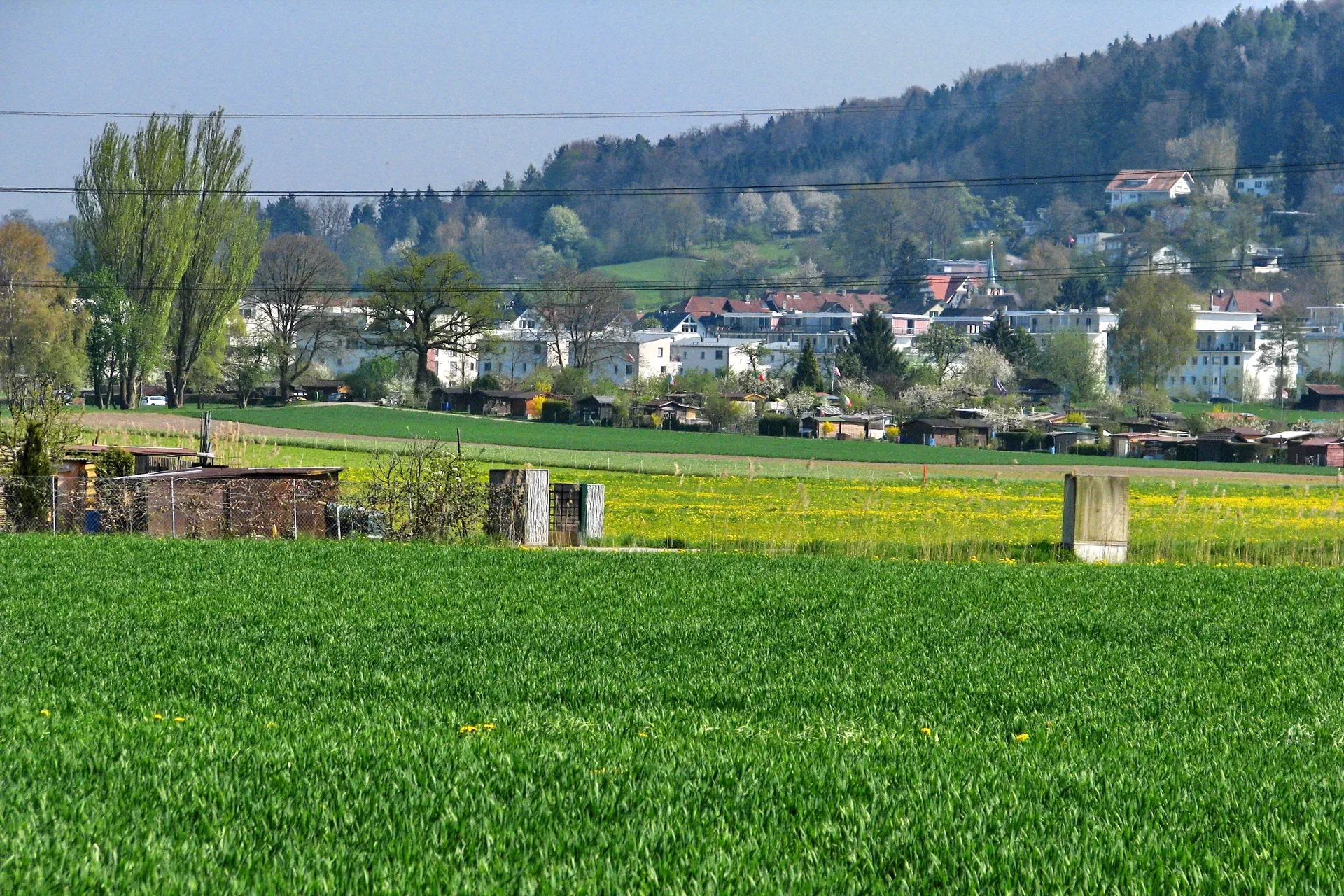 Benglen