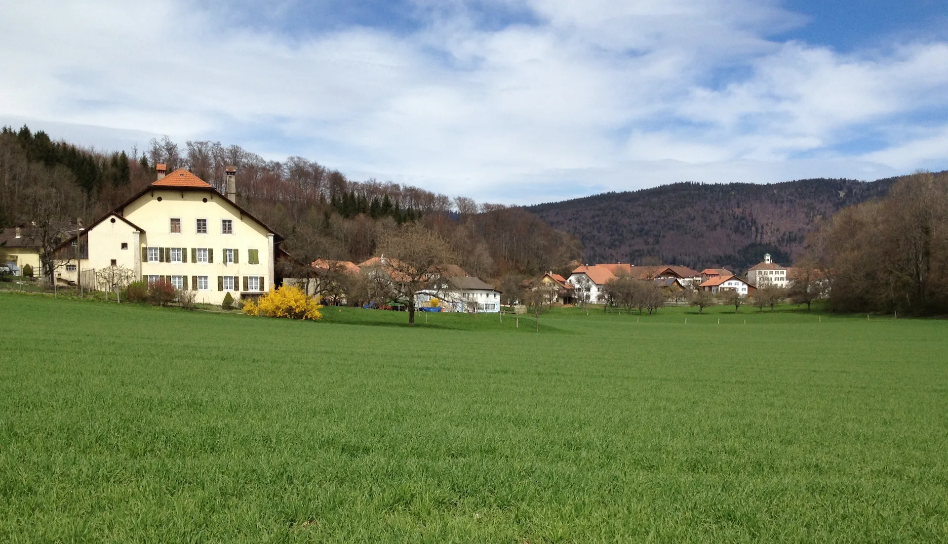 Plateau de Diesse