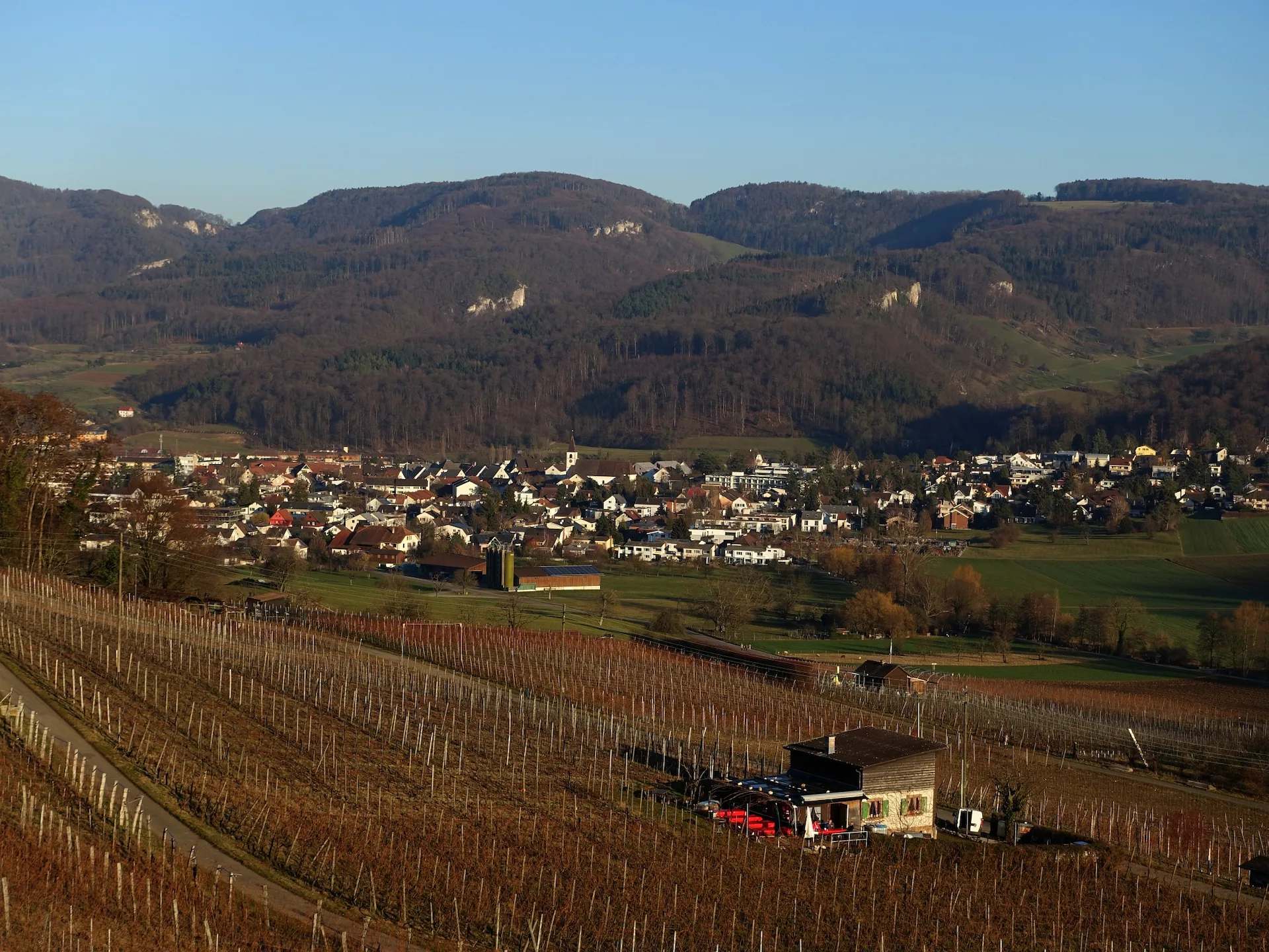 Aesch (BL)