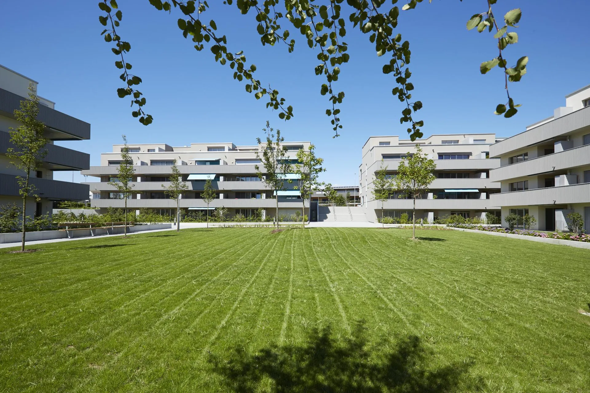 3.5 room apartment in Romanshorn