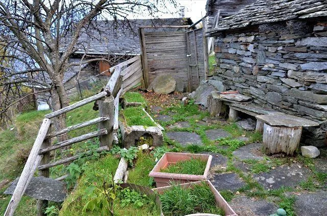 Image 17
