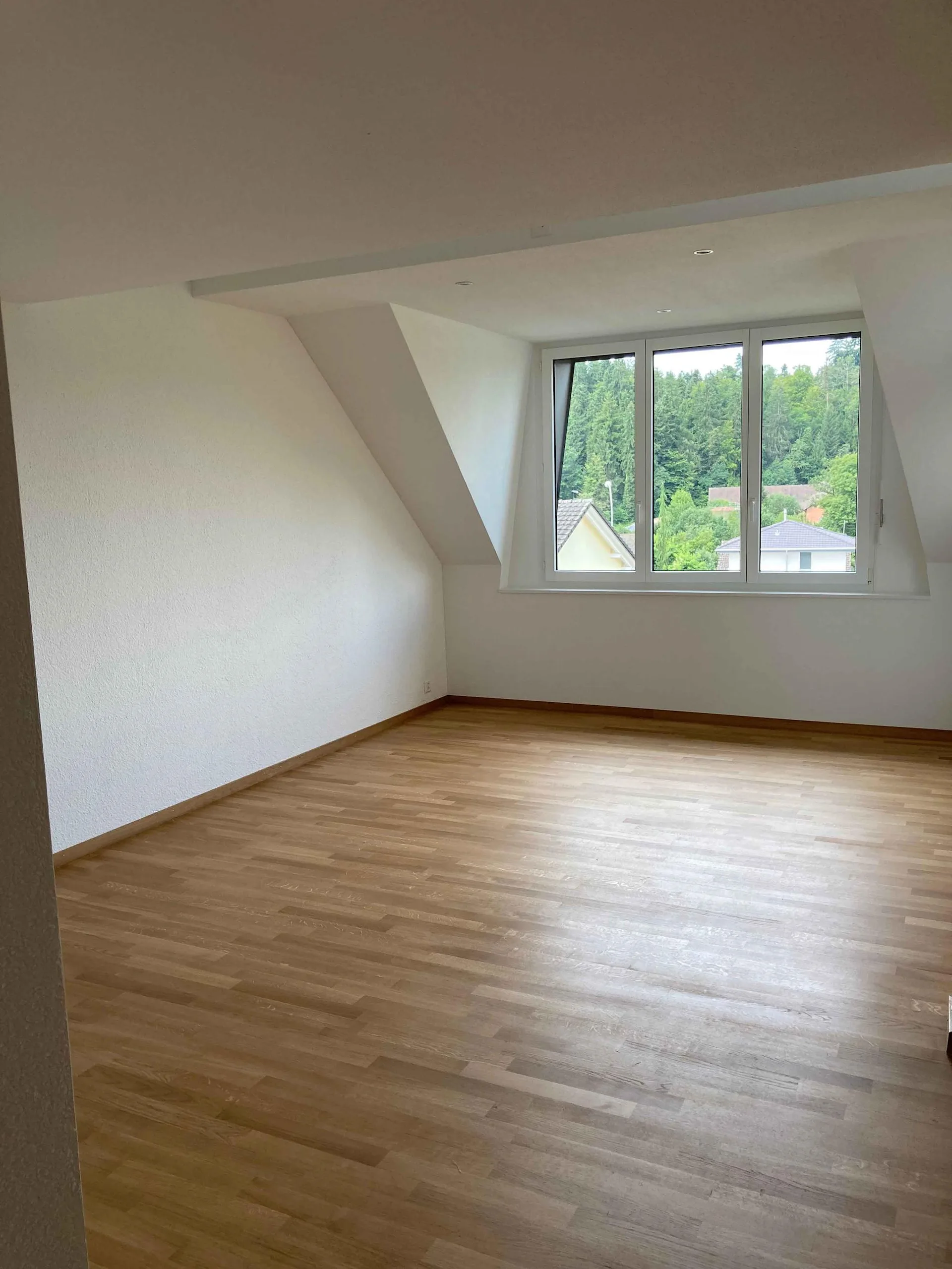 Fantastic maisonette attic apartment in a rural setting