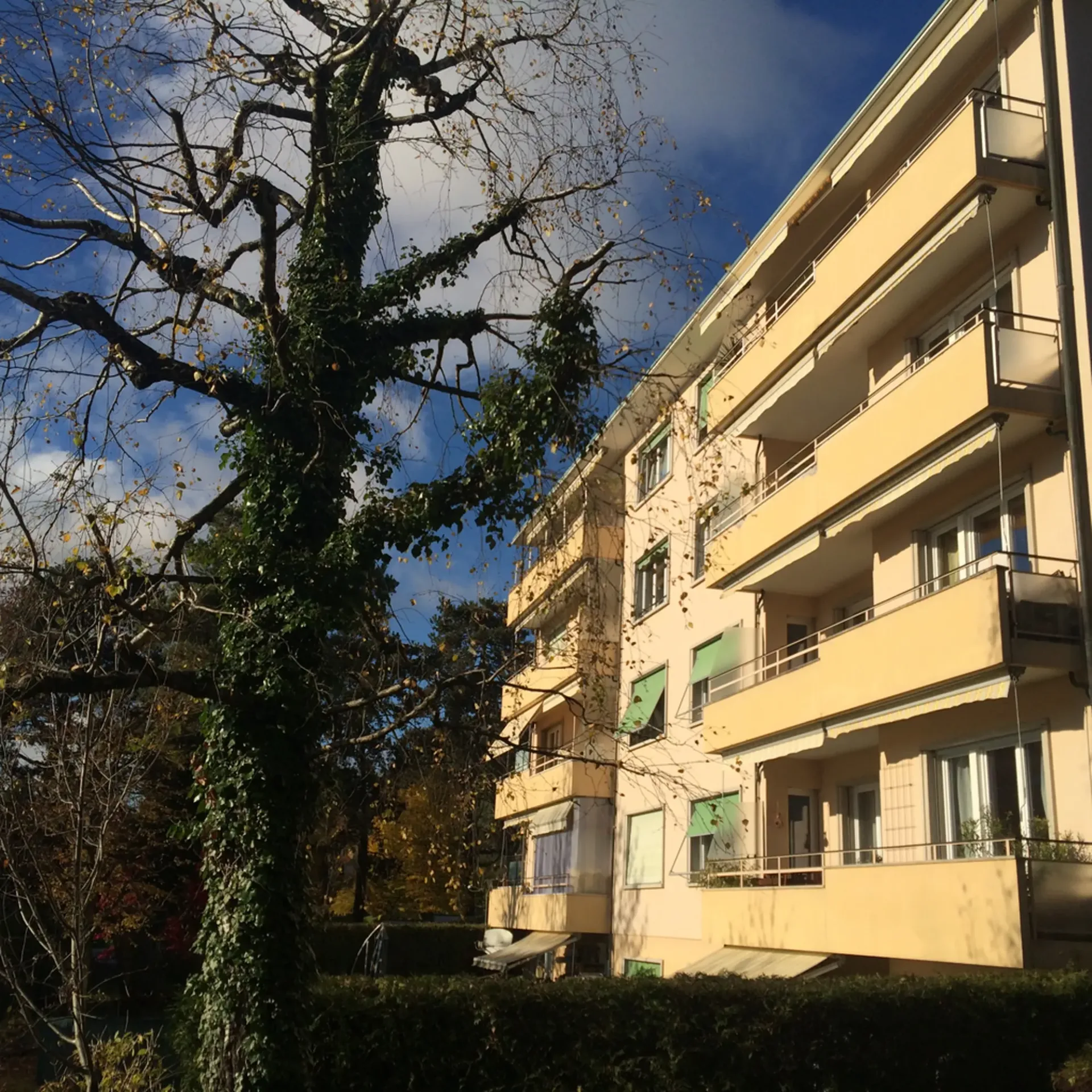 Wohnung mit 6,5 Zimmern in Pully