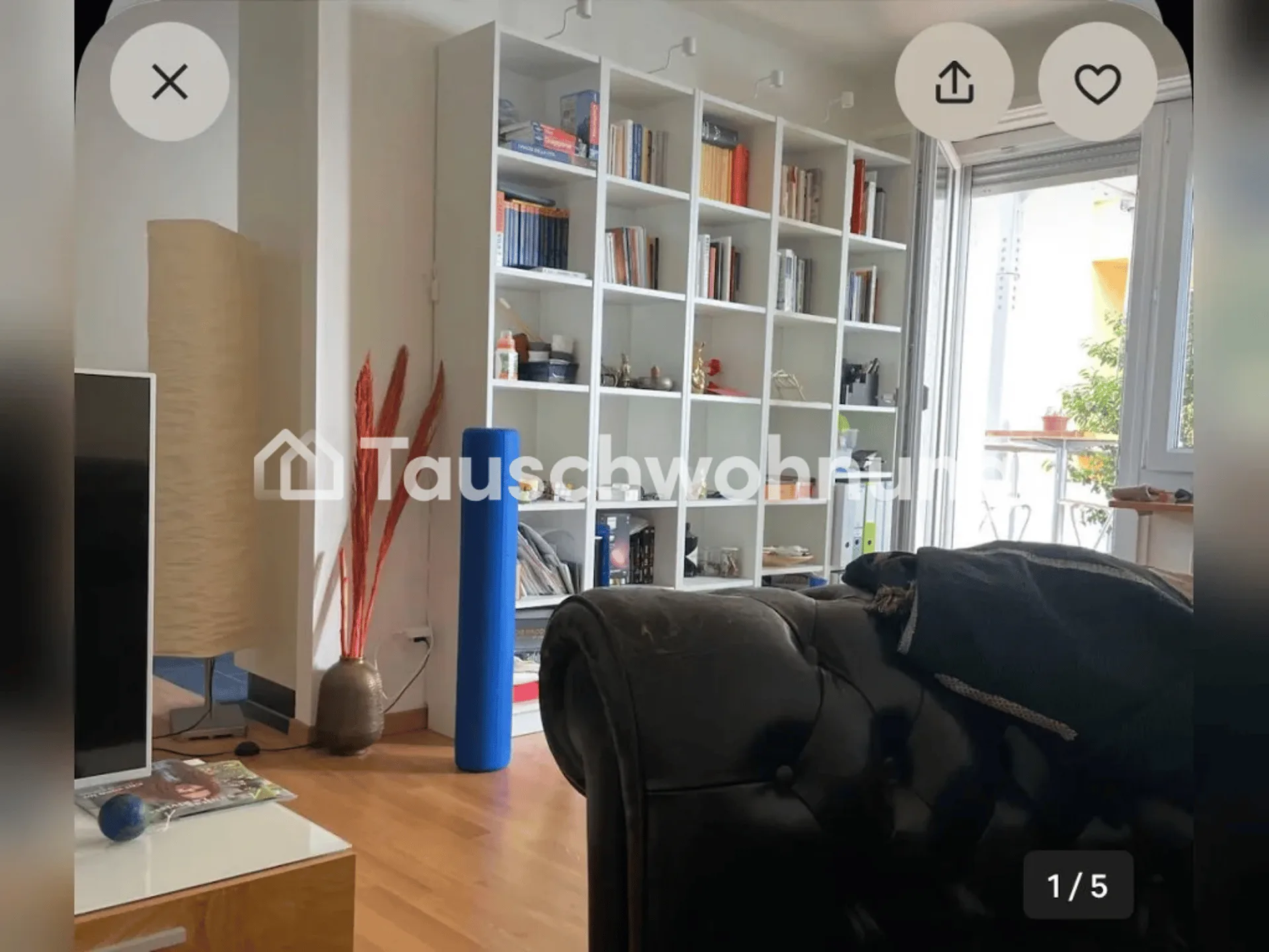 Bild 5