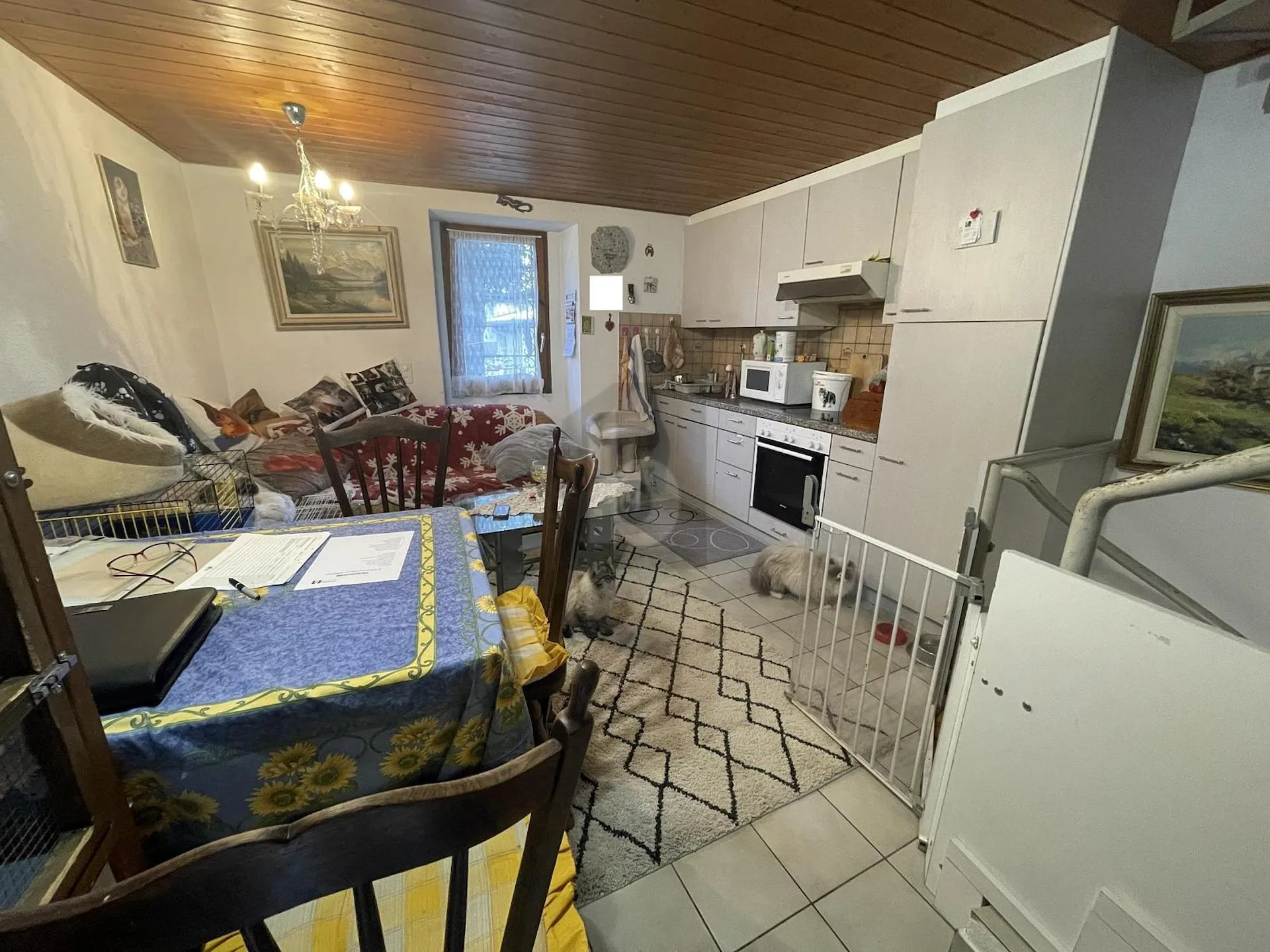 EINZELNES HAUS IM KERN