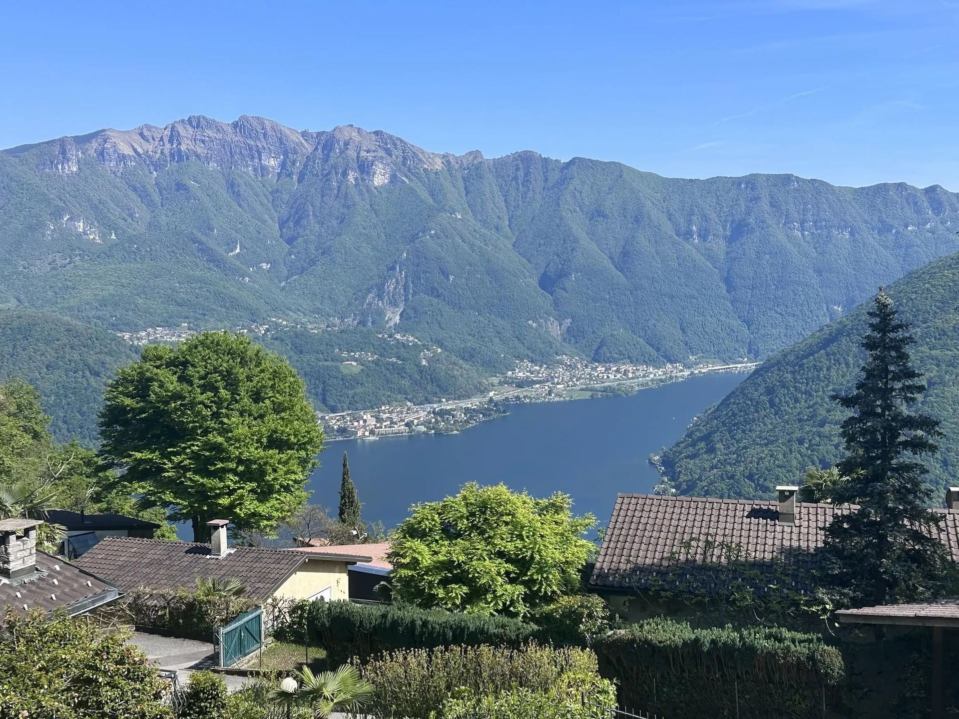 Image 6