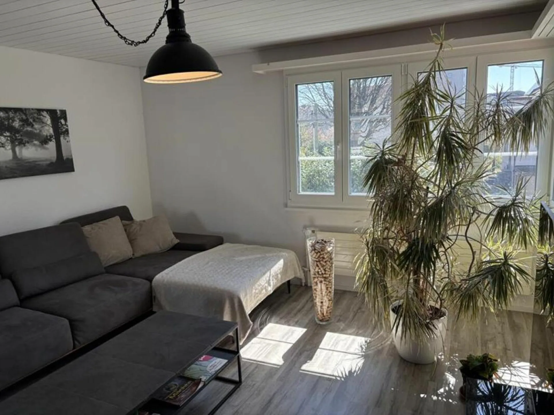 Bild 5