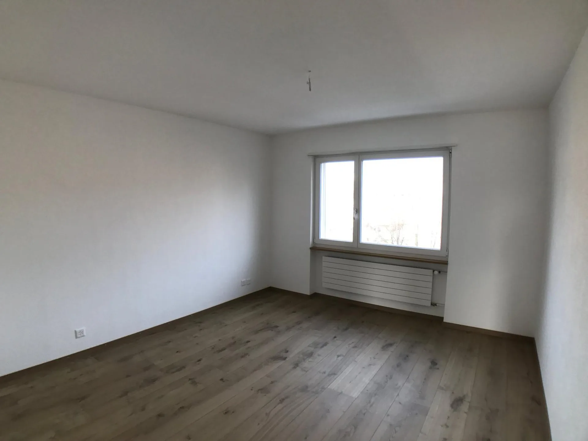 Bild 100