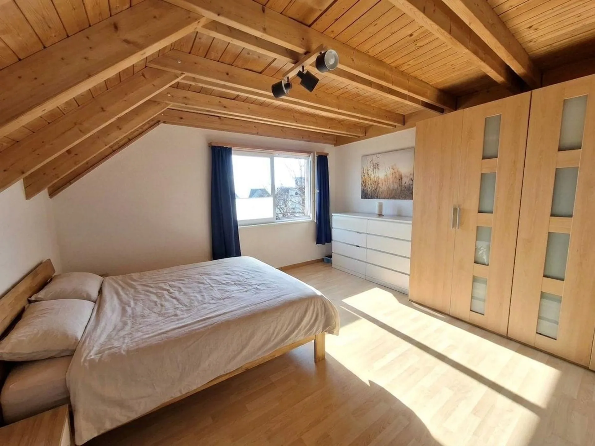 Bild 19