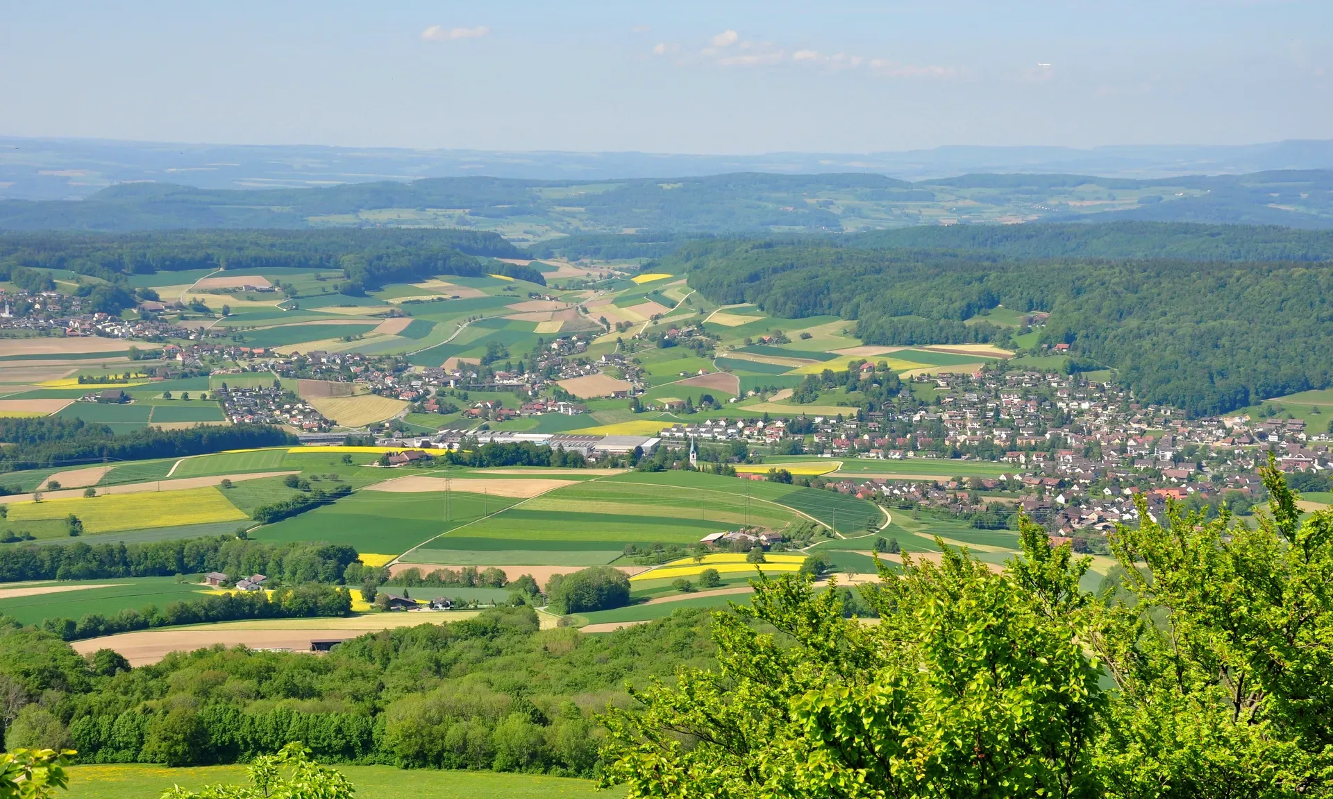 Niederweningen