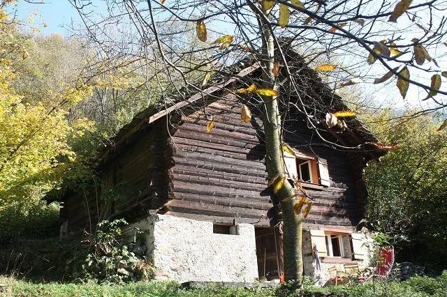 Rustico zum Ausbauen mit Wiese und Wald / Rustico da ristrutturare ...