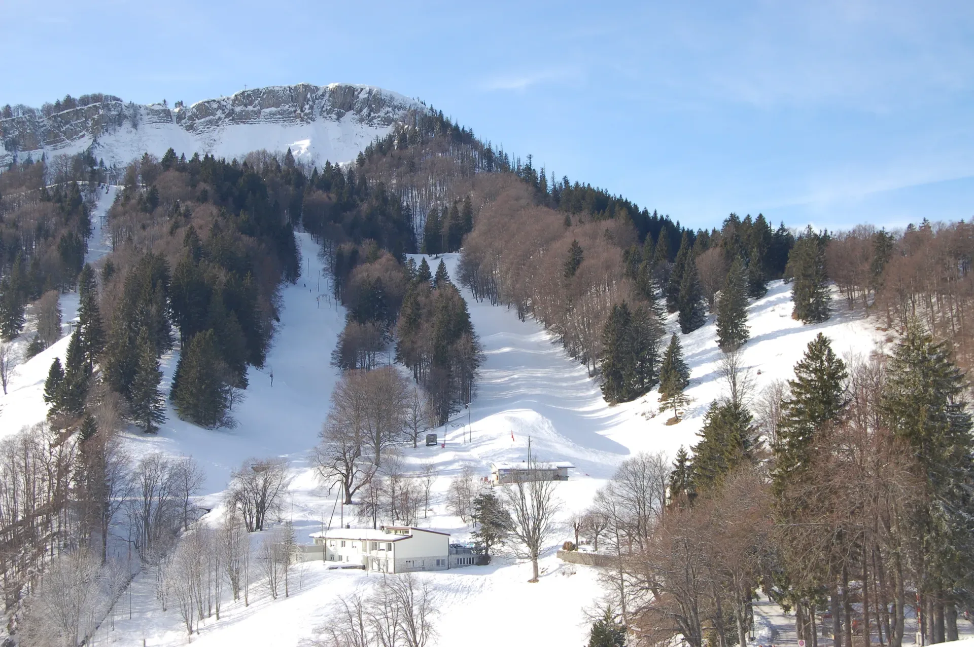Soletta
