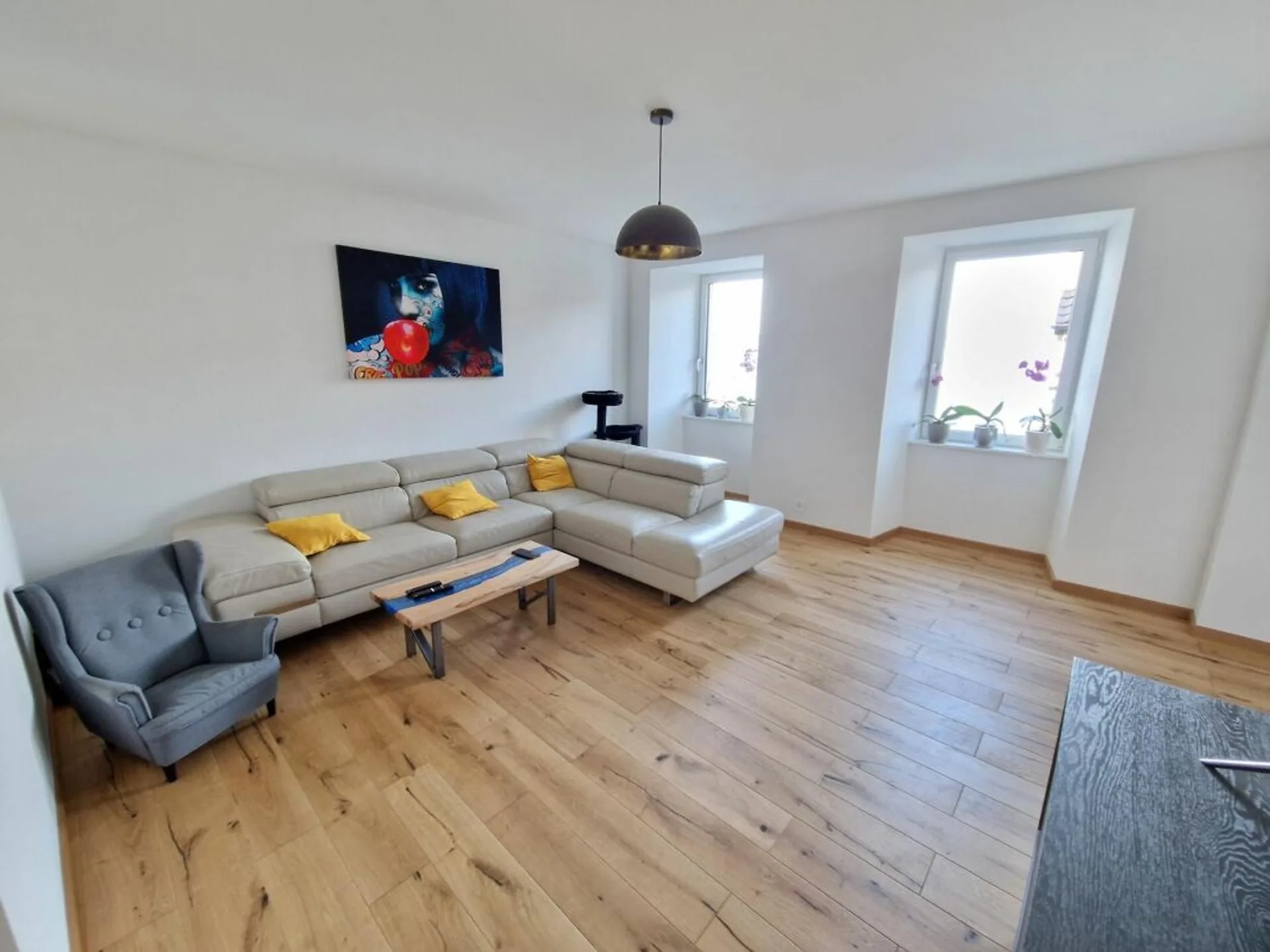 Appartement 4.5 pièces au rez