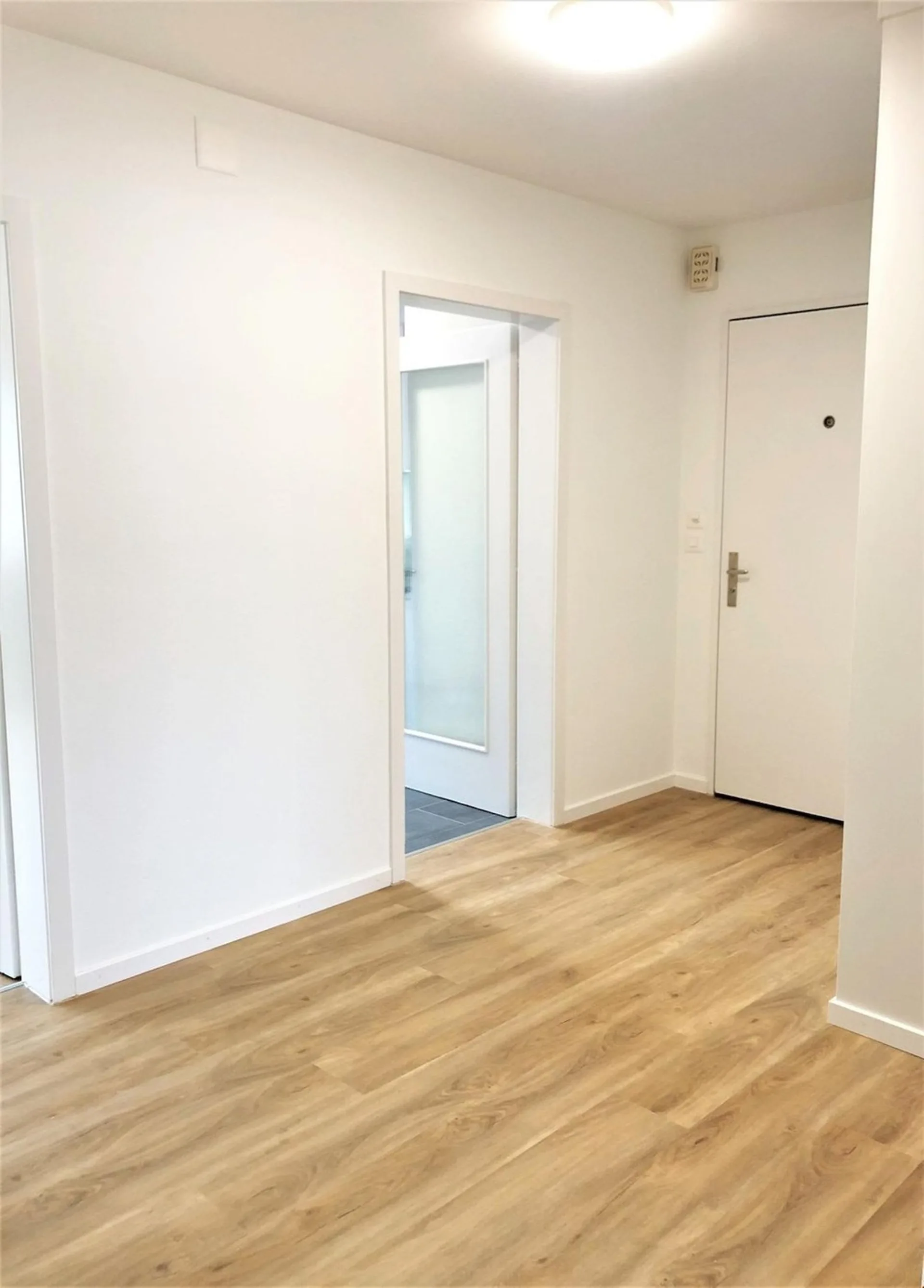 3.0 bedroom apartment in Olten - near city center