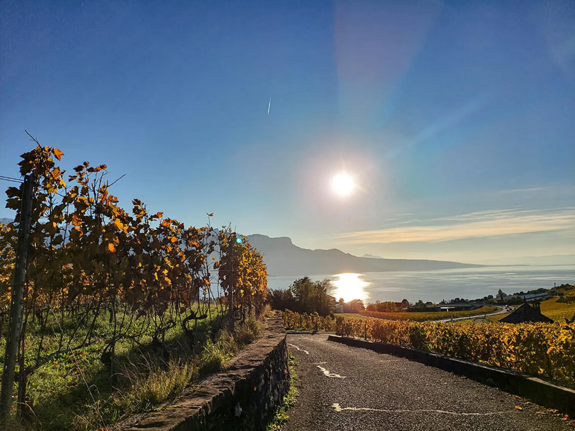 CHARDONNE-EST - VILLA AVEC VUE EPOUSTOUFLANTE