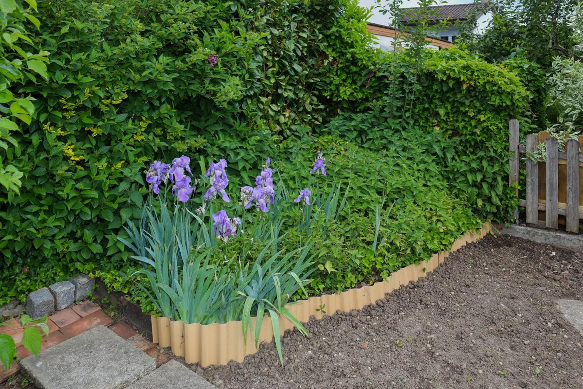 Image 10