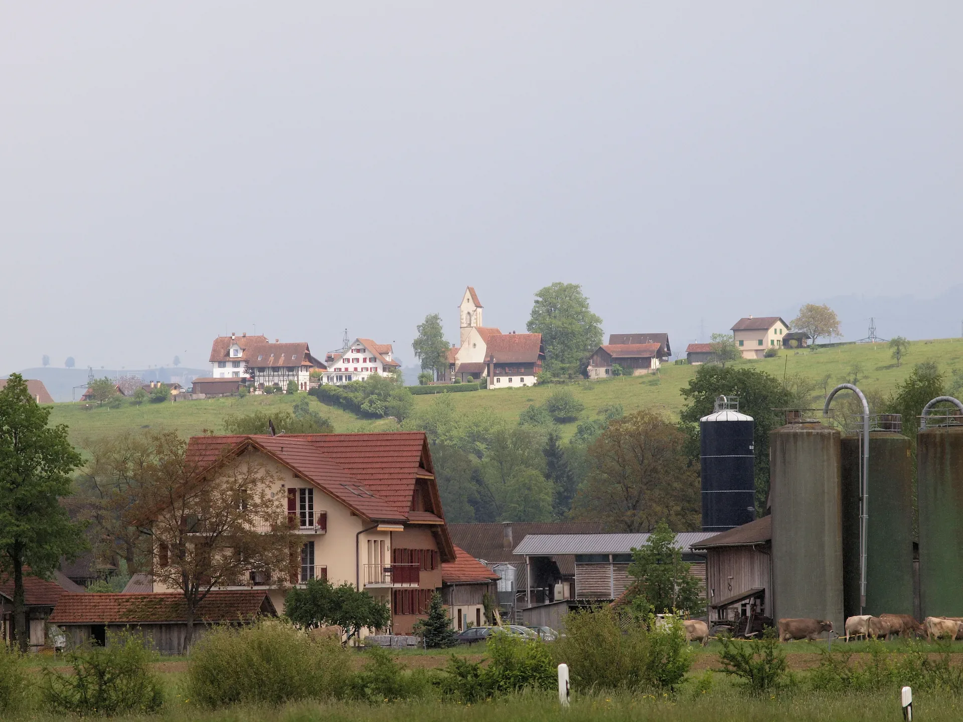Hünenberg See