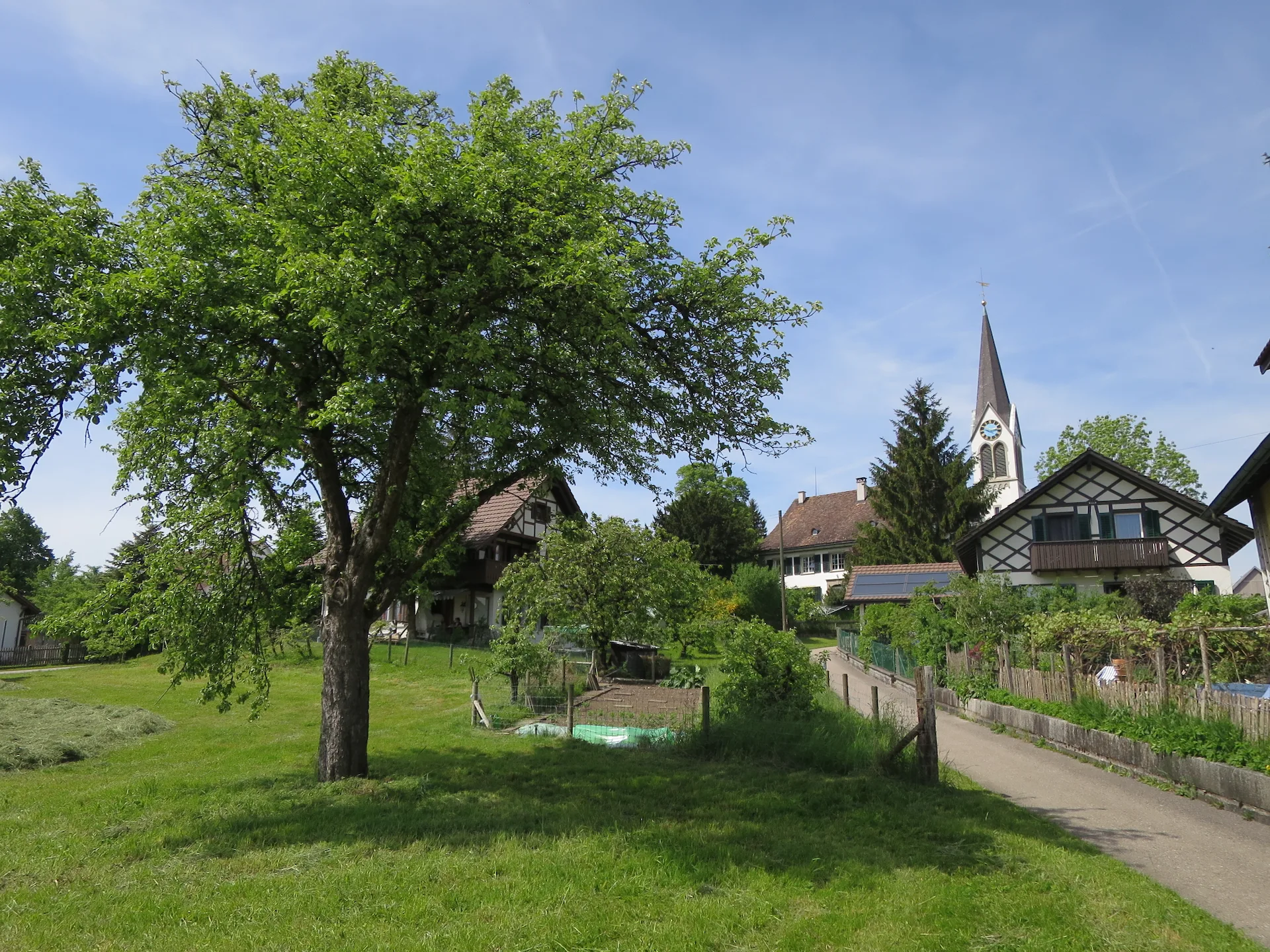 8315 Lindau