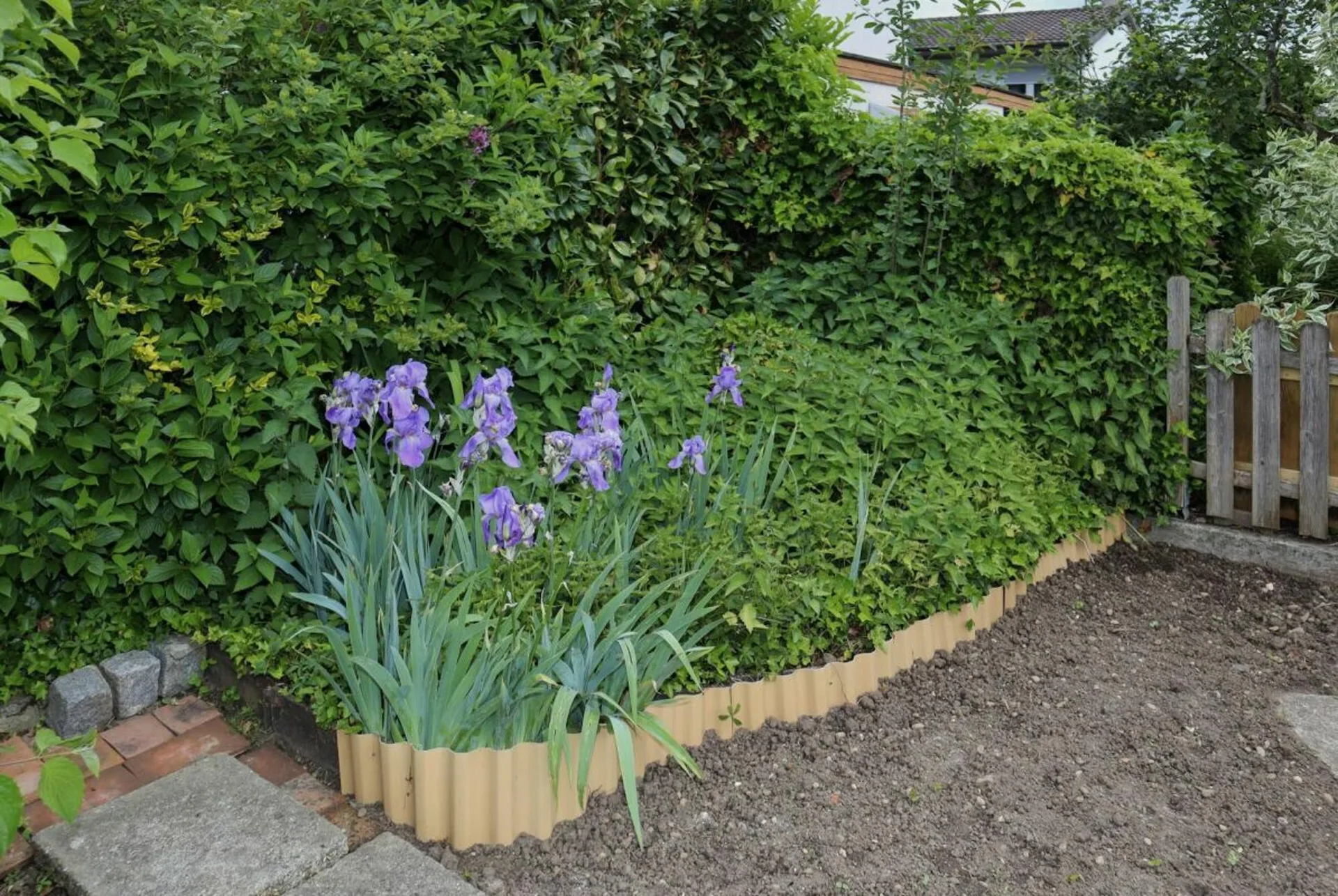 Image 6