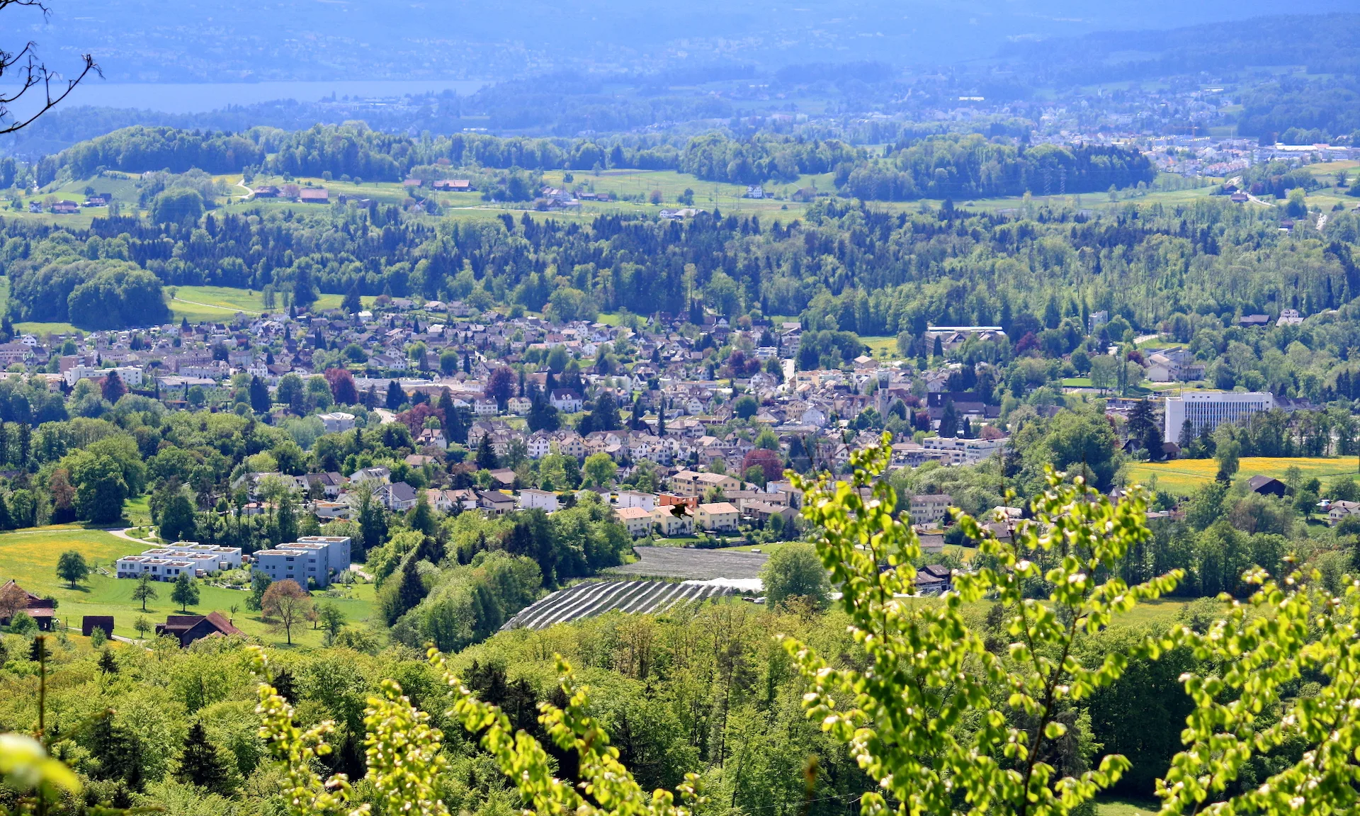 Rüti (ZH)