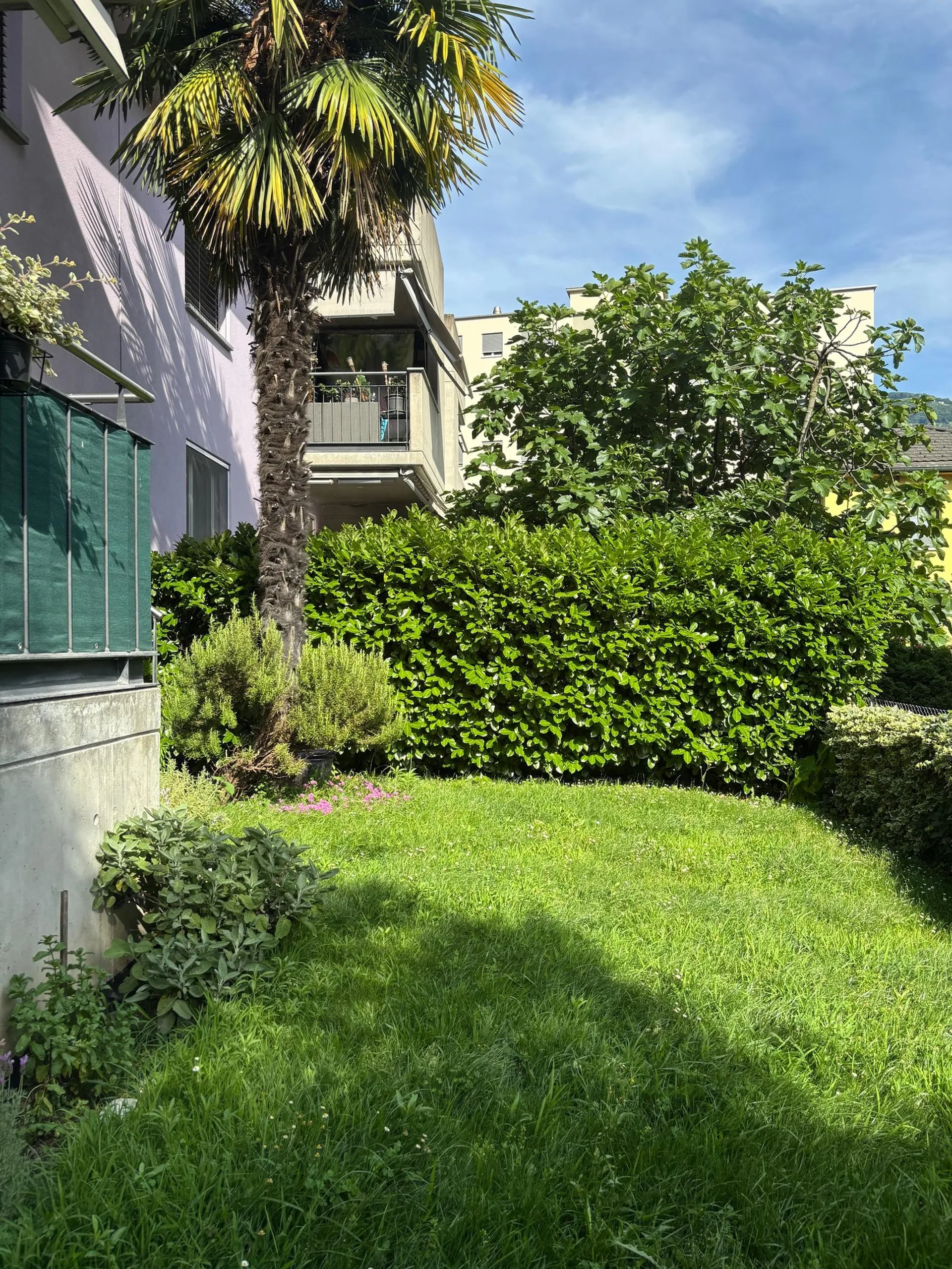Splendid 4.5-room apartment with terrace and garden in Bellinzona