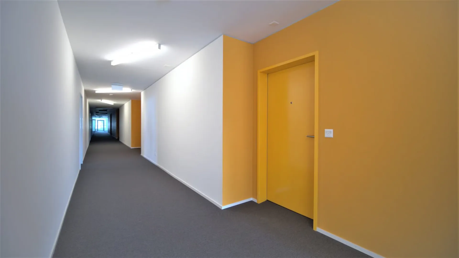Moderne möbliertes 1-Zimmer-Apartment im Herzen von Delémont