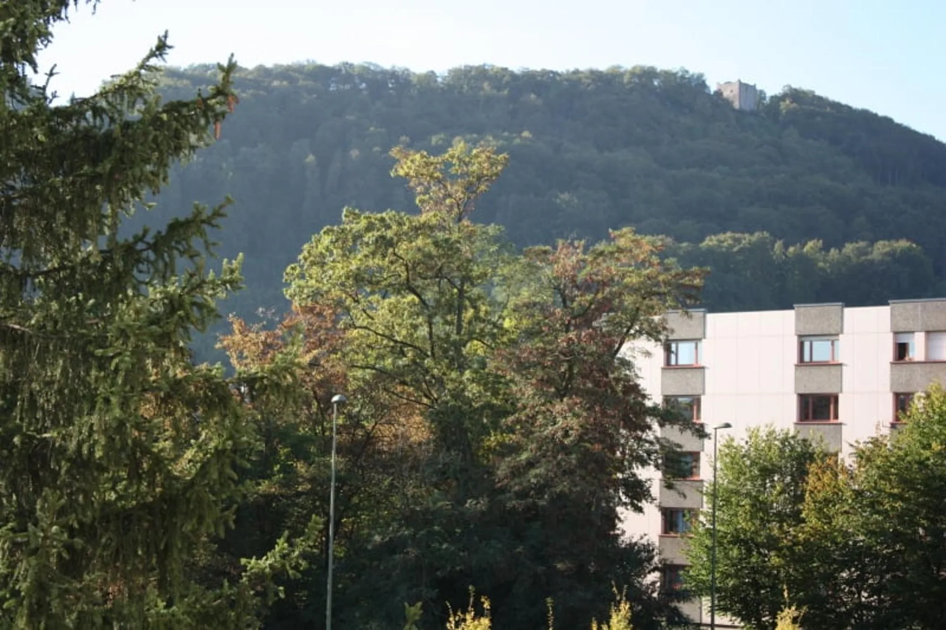 Helle grosszügige 3,5-Zimmerwohnung mit Balkon