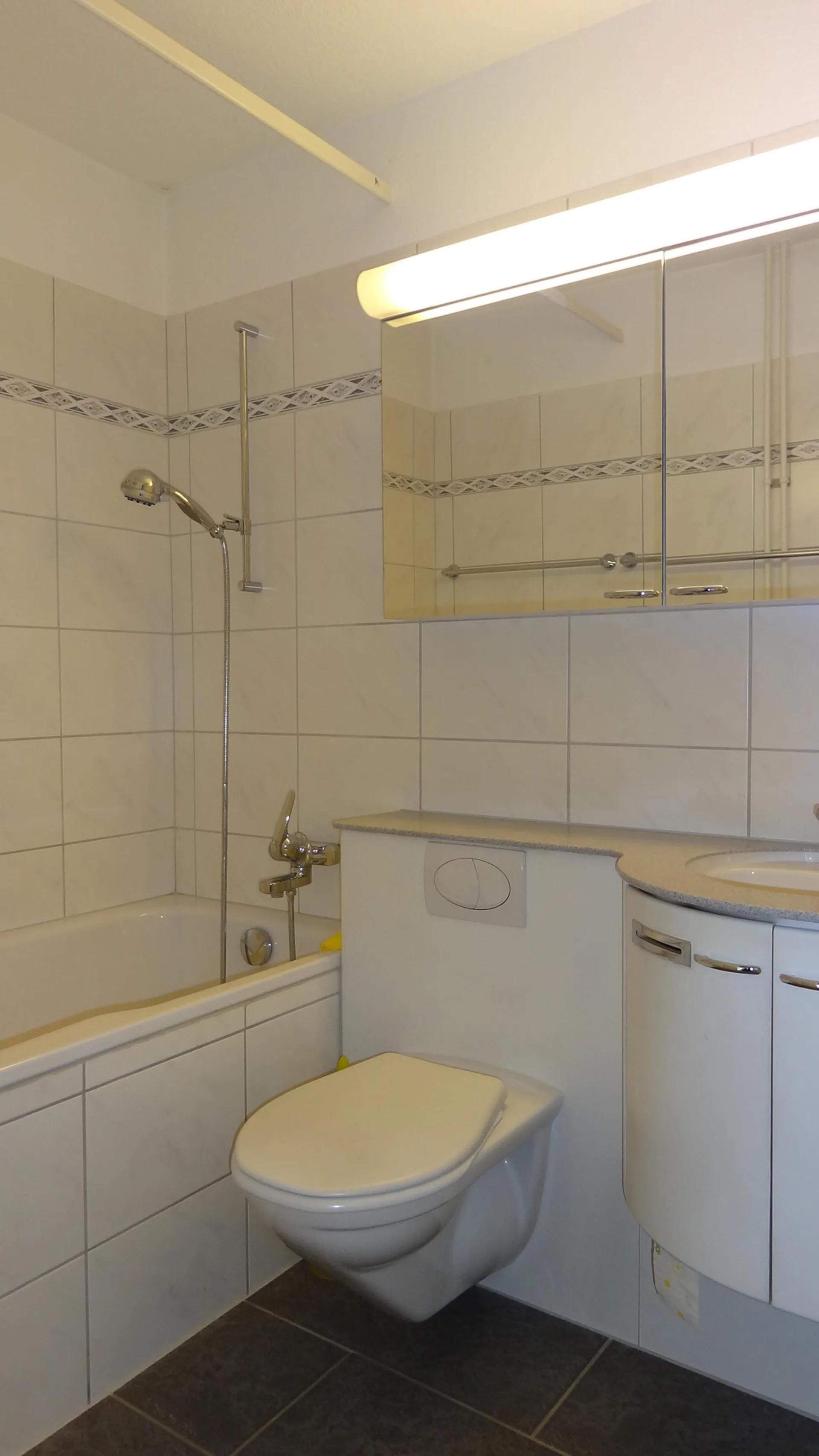 3 Zimmer-Wohnung an ruhiger Lage in Zürich Höngg
