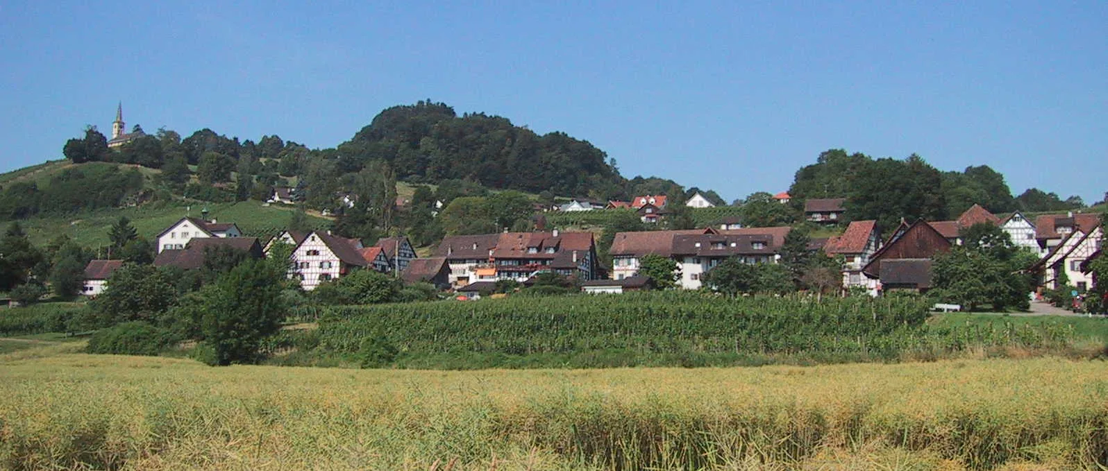 8455 Rüdlingen