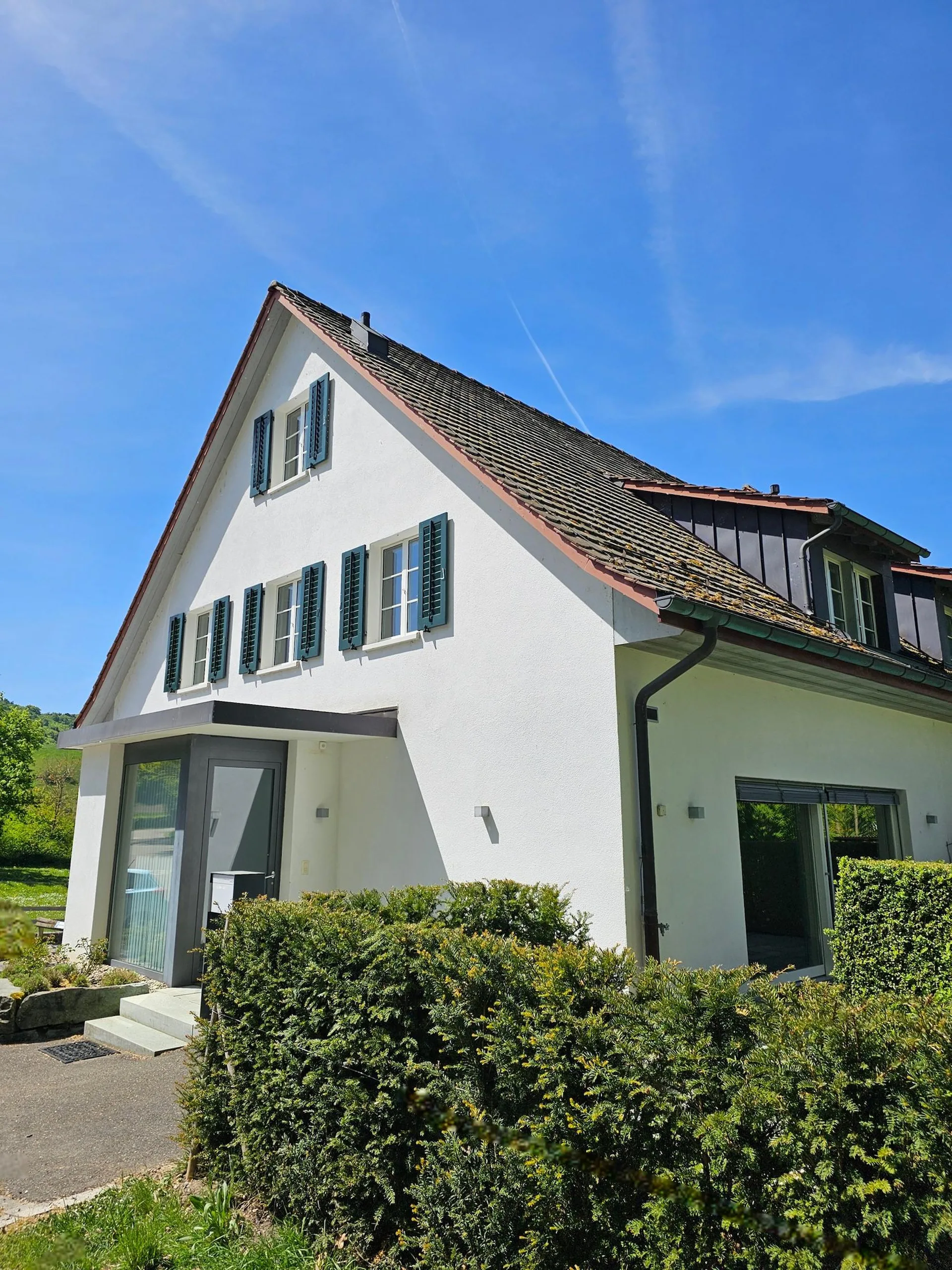 Modernes 4.5-Zimmer-Einfamilienhaus in idyllischer Rheinlage