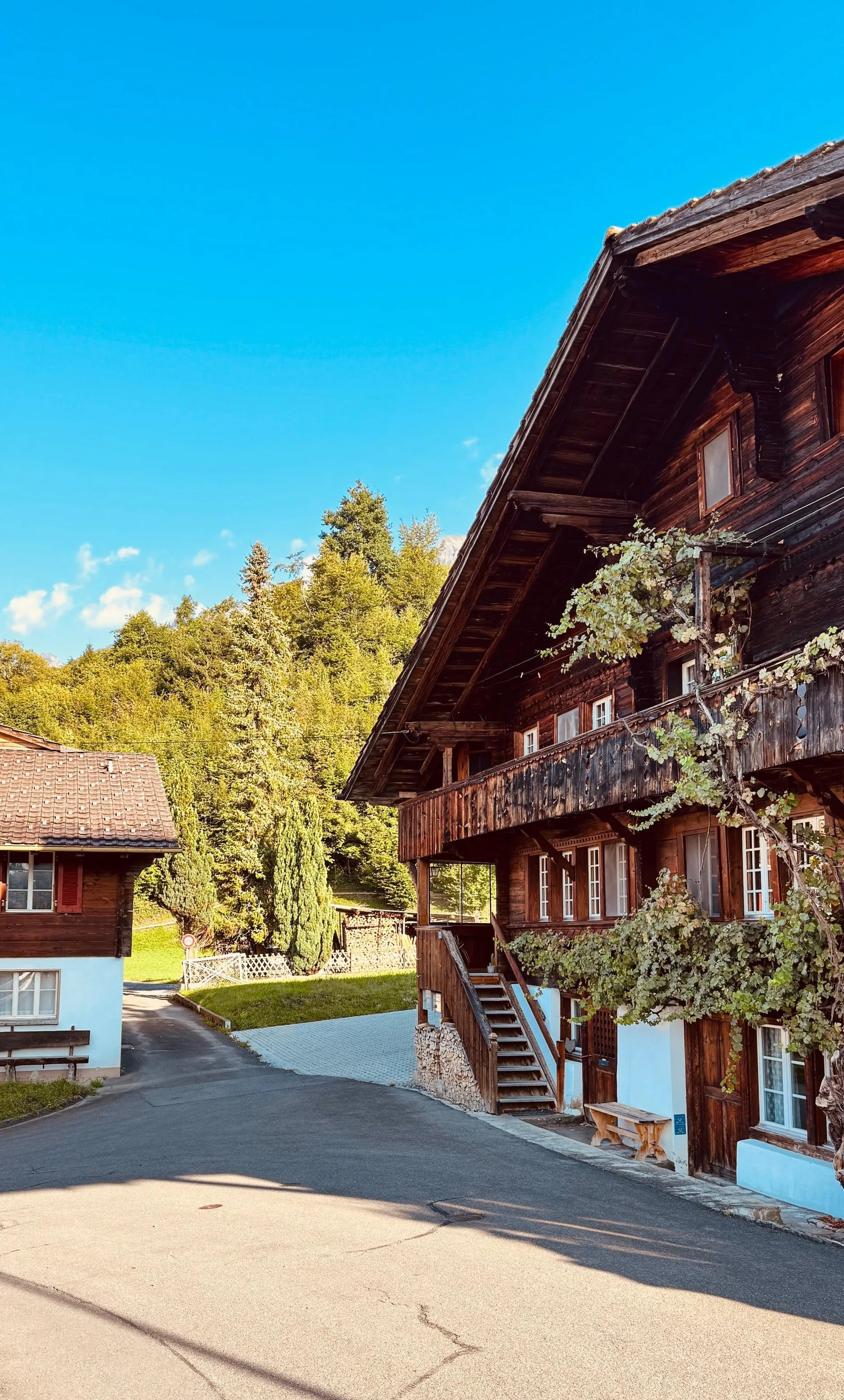 Ankommen, wohlfühlen – Haushälfte mit Baulandreserve in Hofstetten bei Brienz