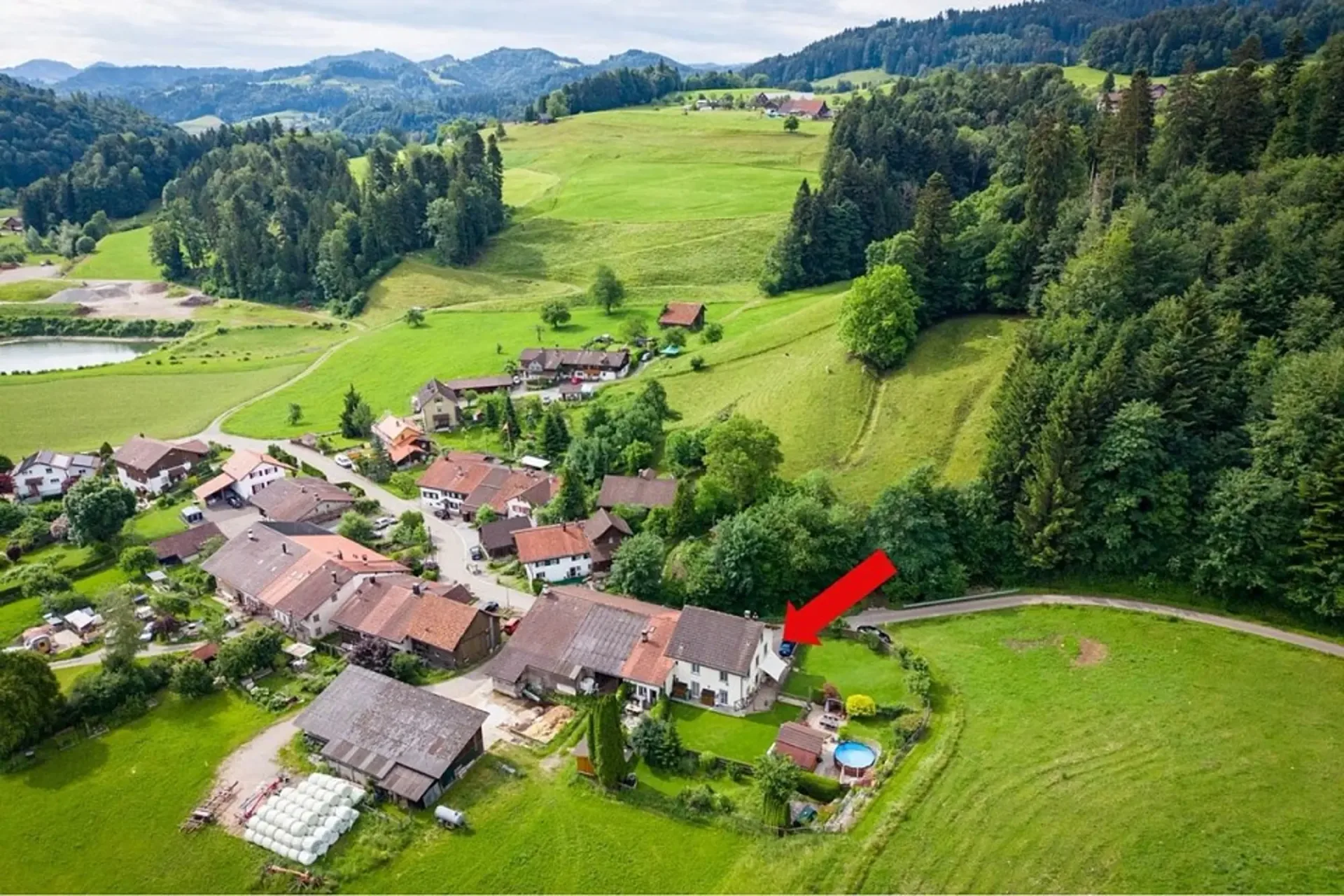 Paradies für Mensch, Hund und Katze