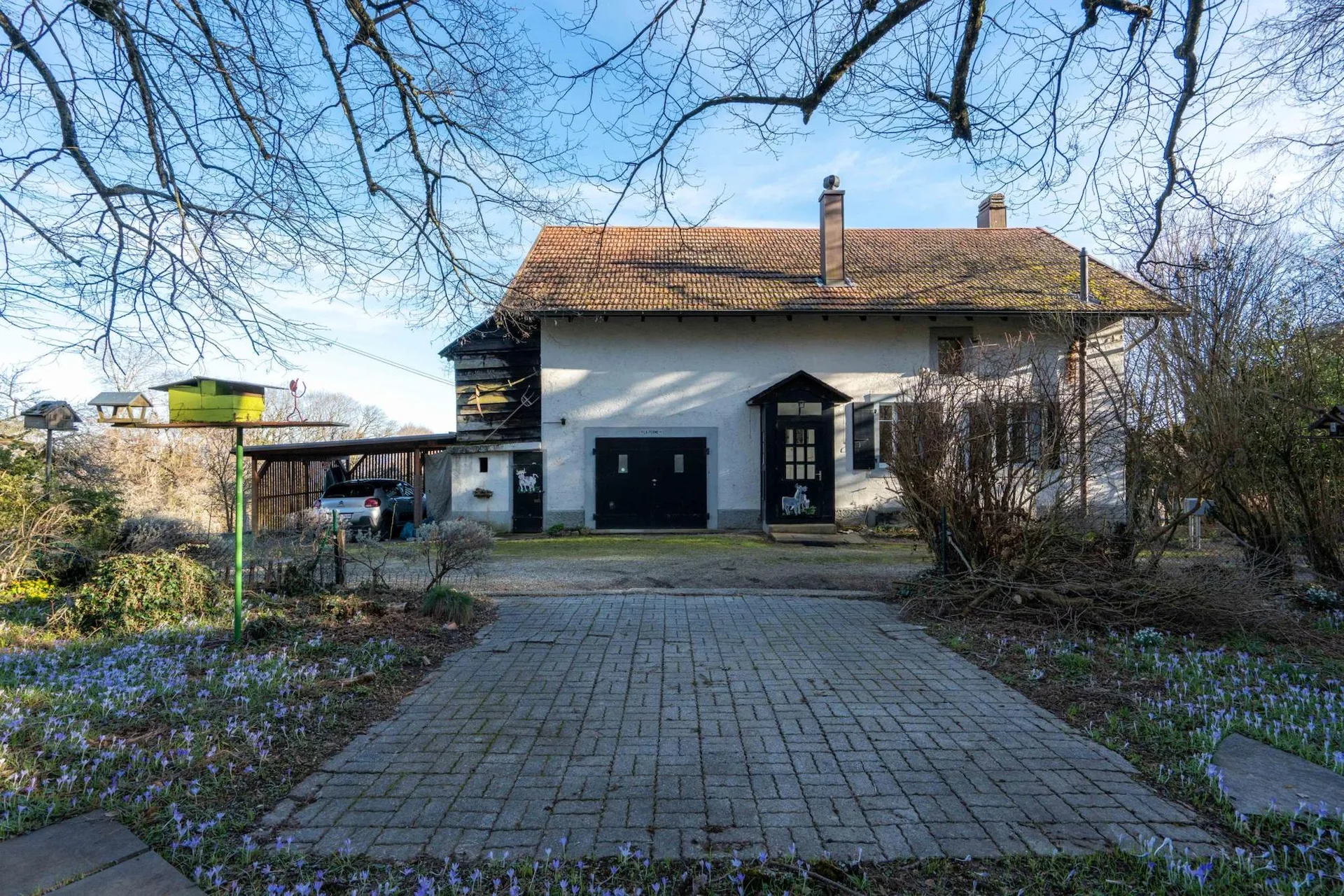 Image 10