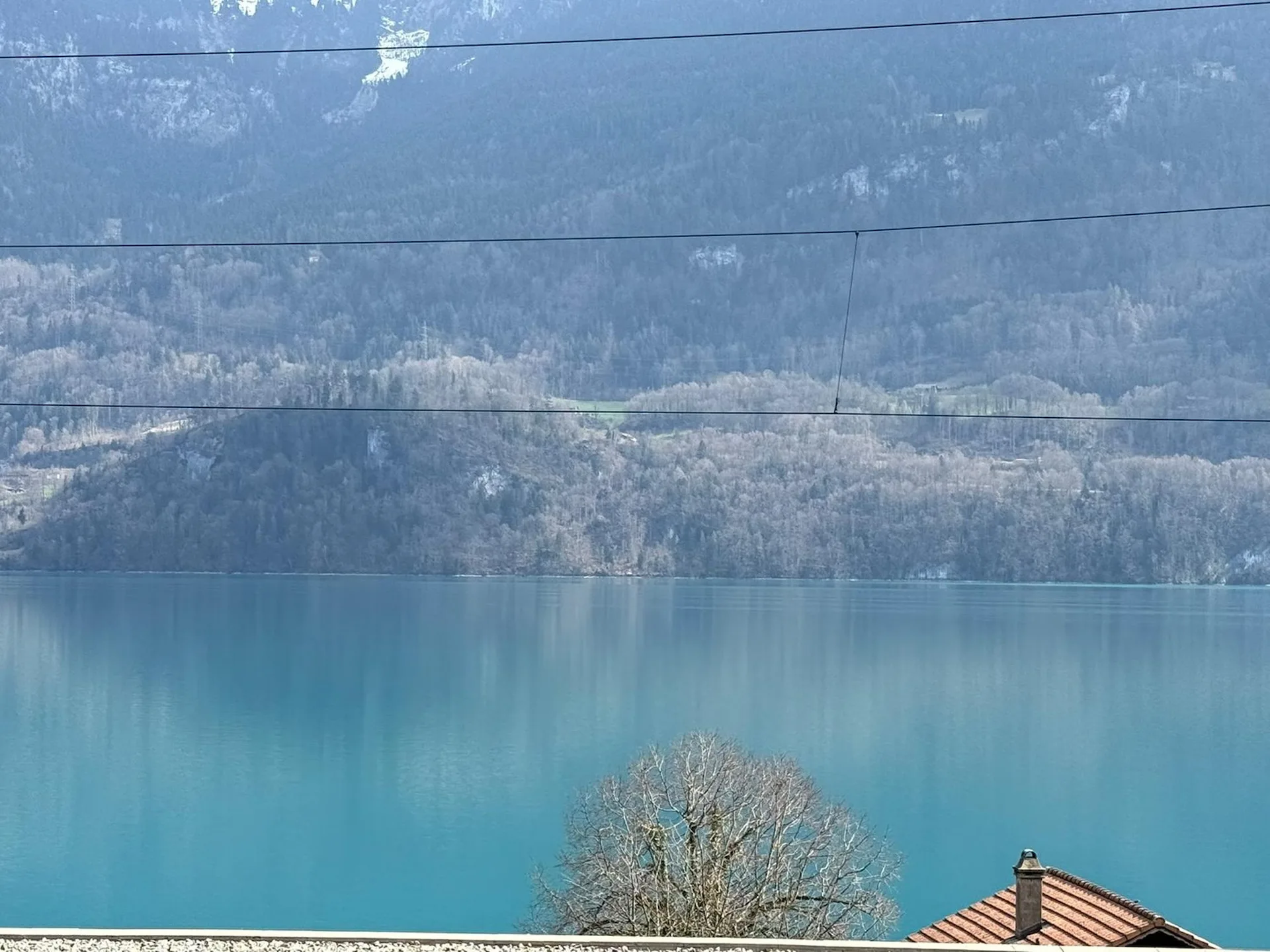 Charmantes 4.5-Zimmer-Doppeleinfamilienhaus mit Seeblick in Niederried b. Interlaken