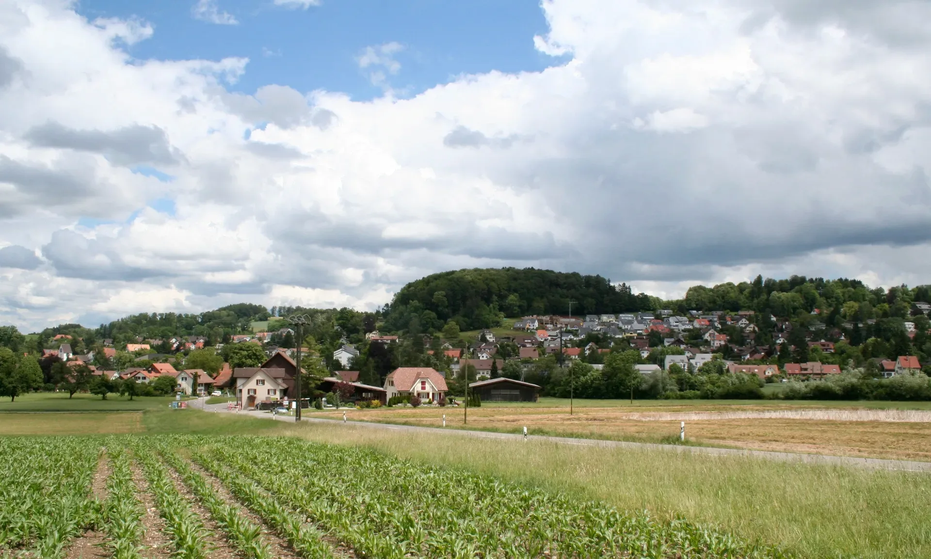 Weisslingen