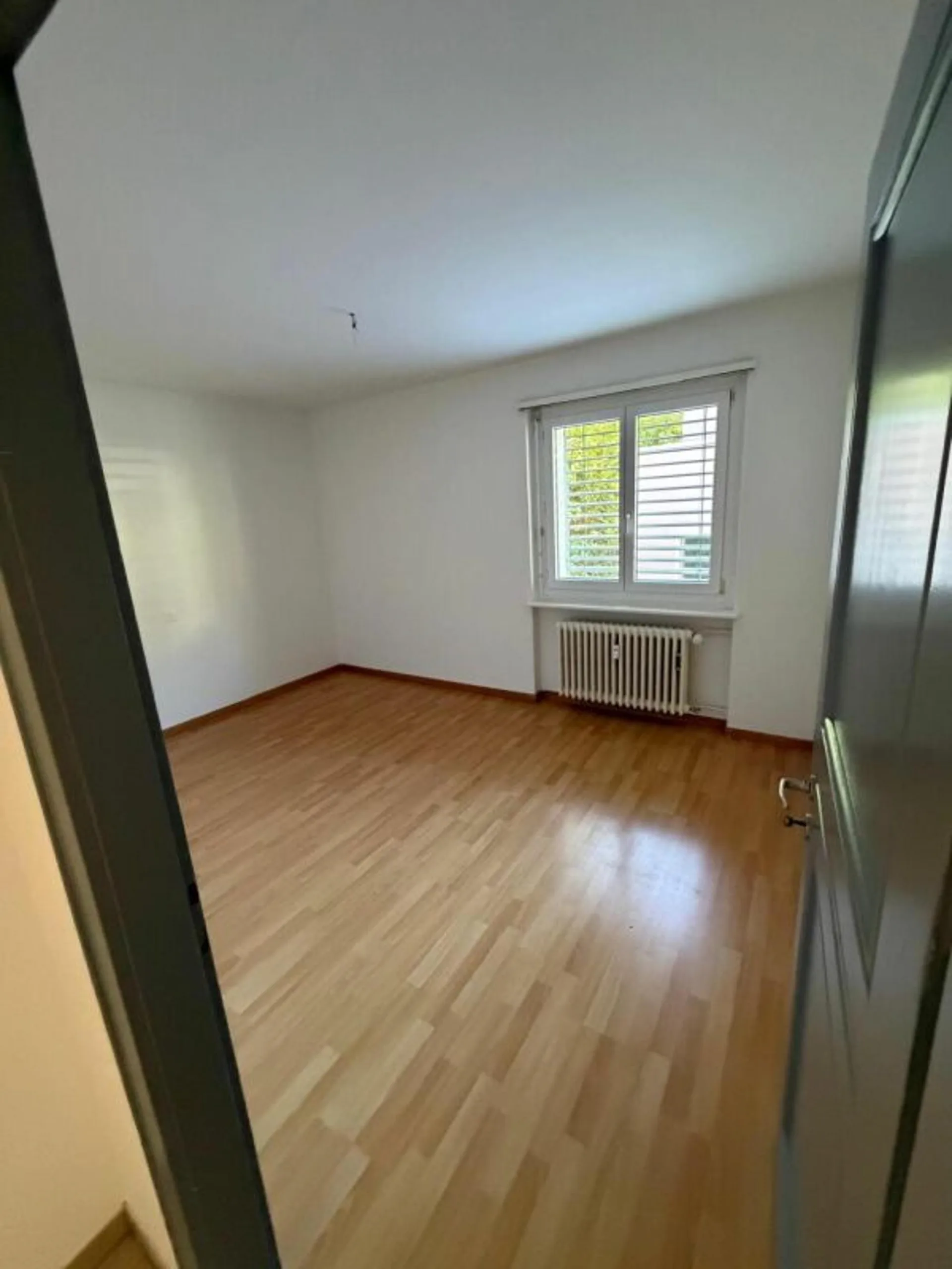 helle und schöne 3 Zimmerwohnung